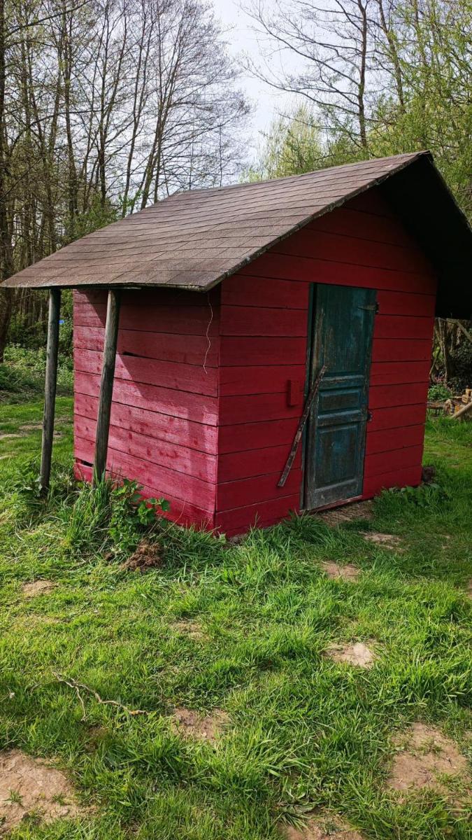 Photo 17