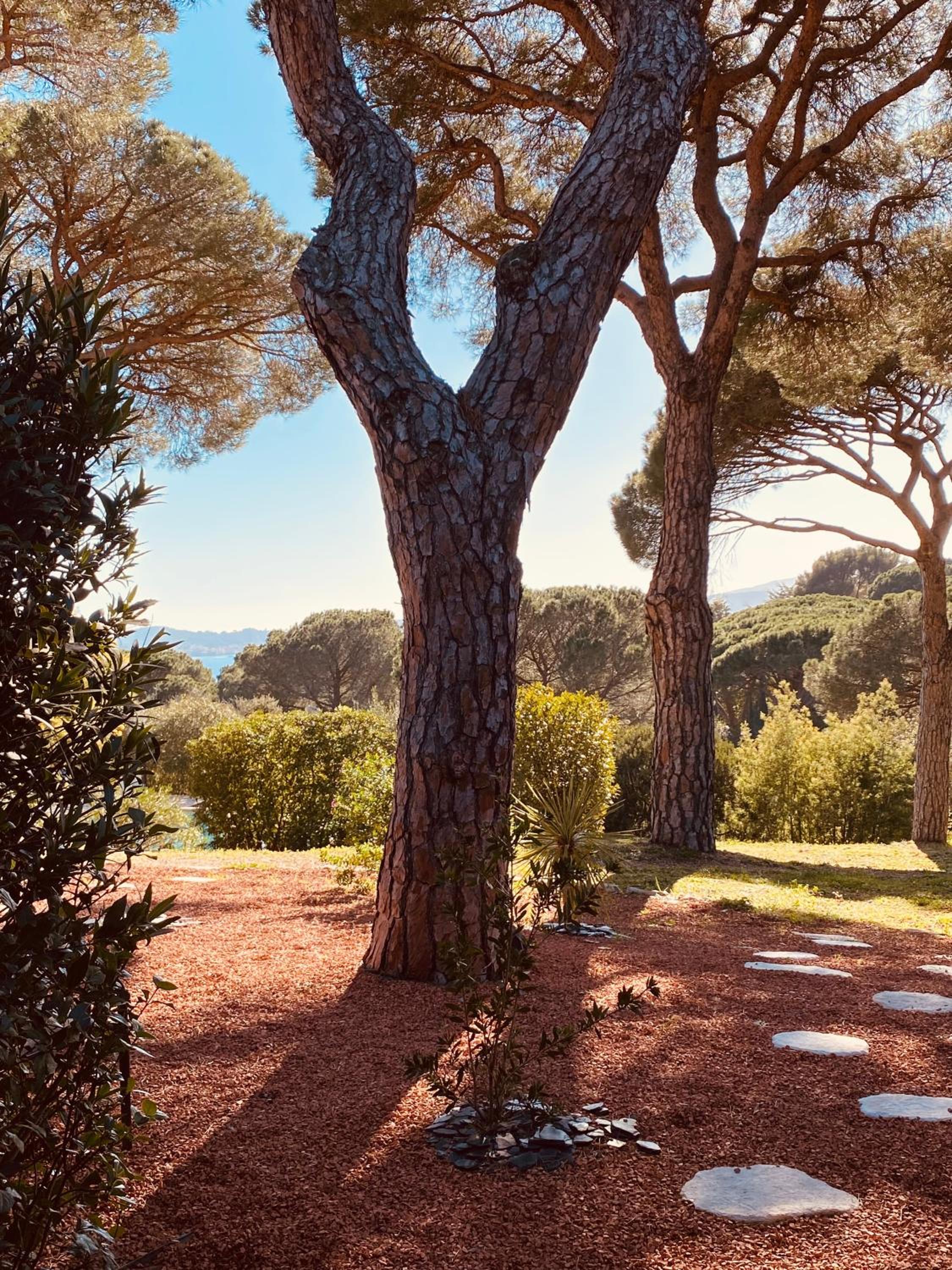 Le Mas du Soleil view 4