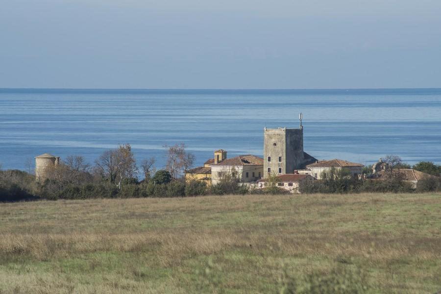 Photo 31