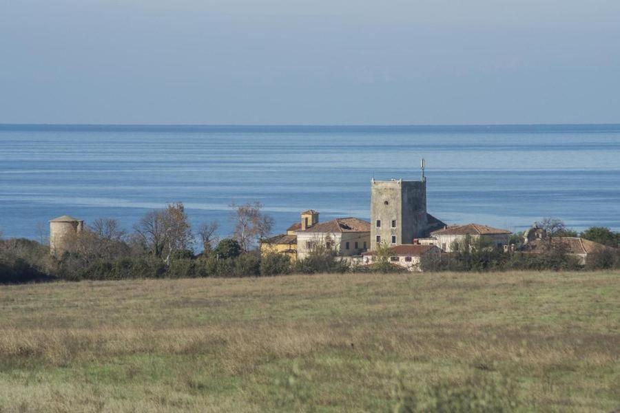 Photo 27