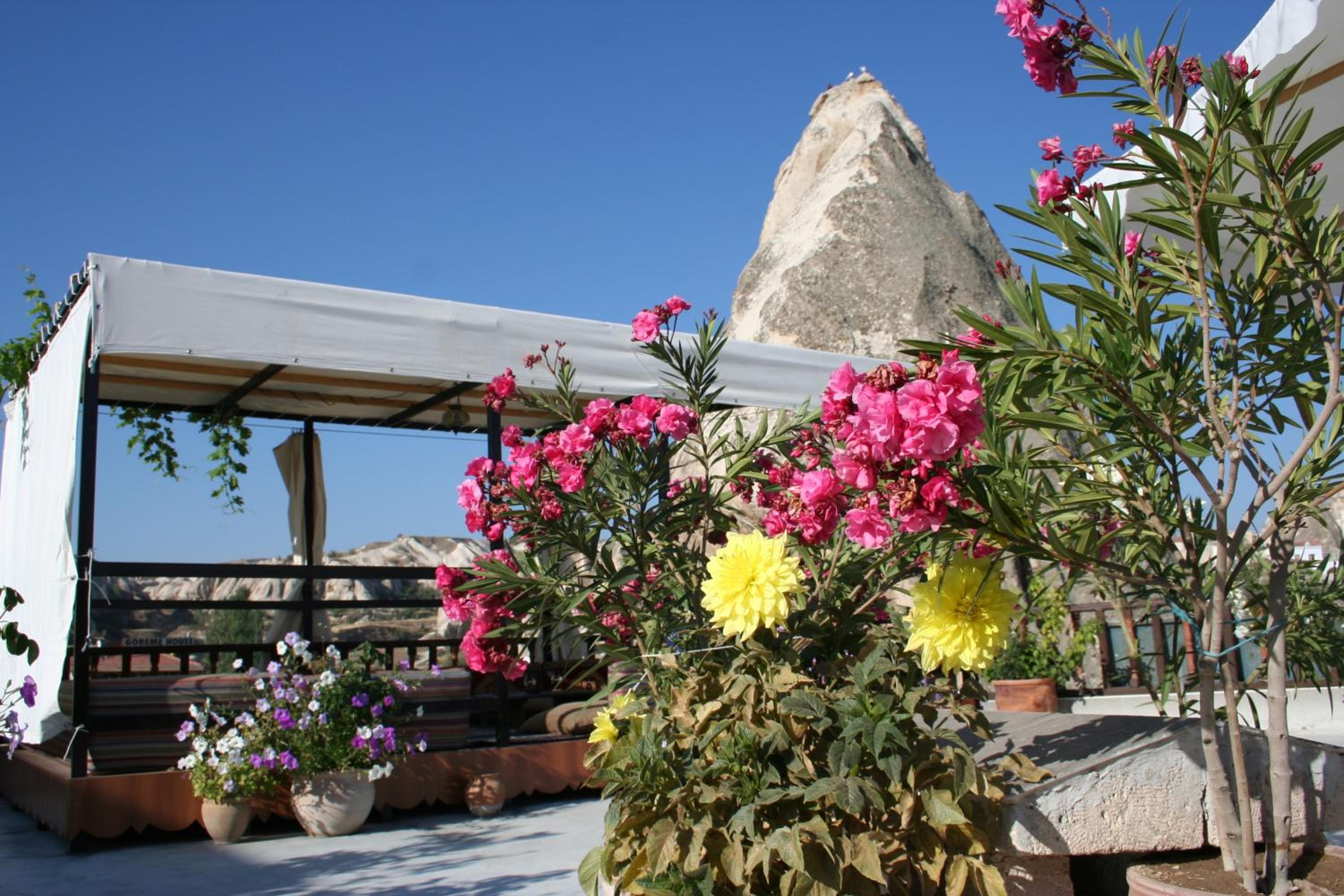 Arch Palace - Image 8