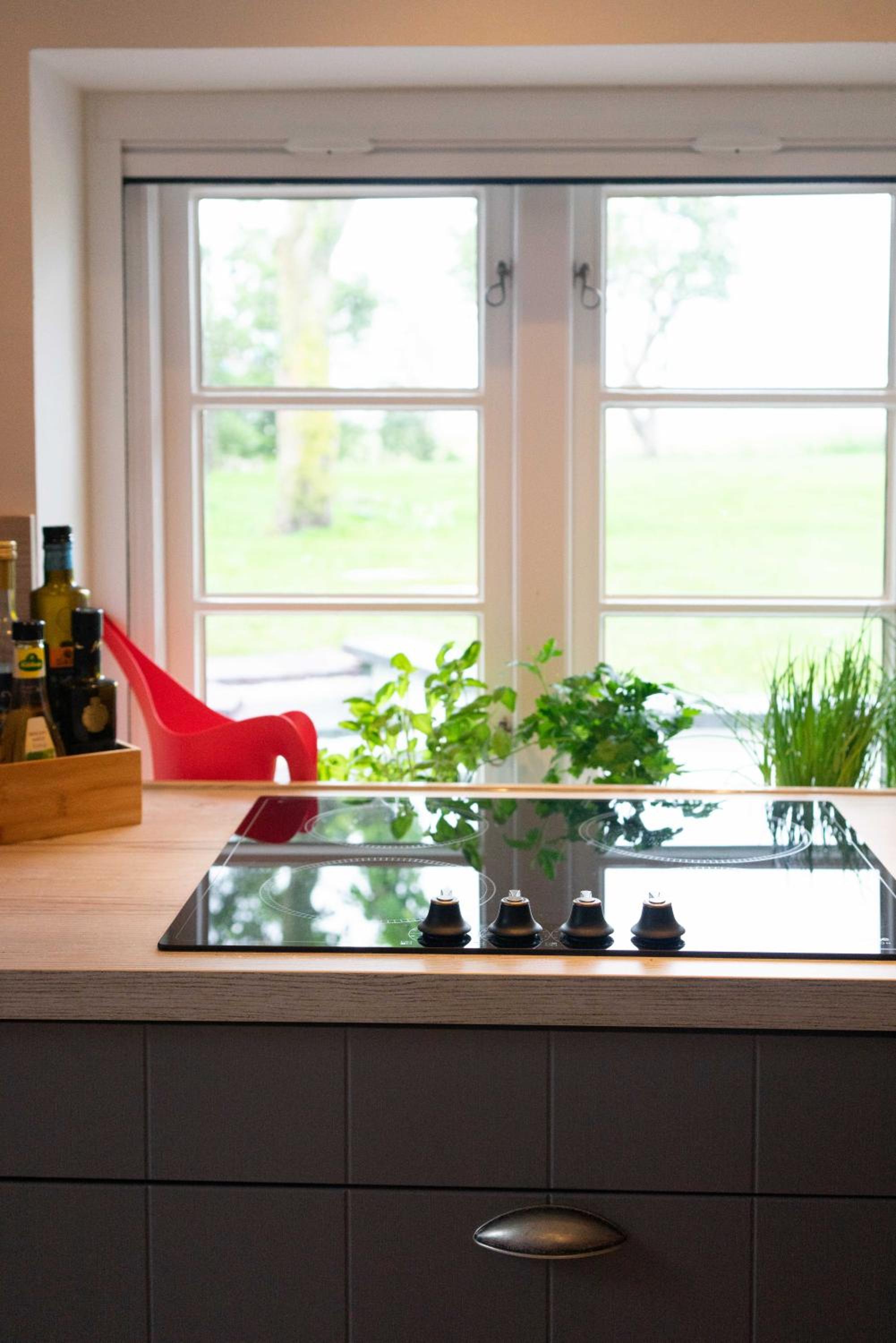 Reetdachhaus, Sauna, E-Bikes, 6 Personen