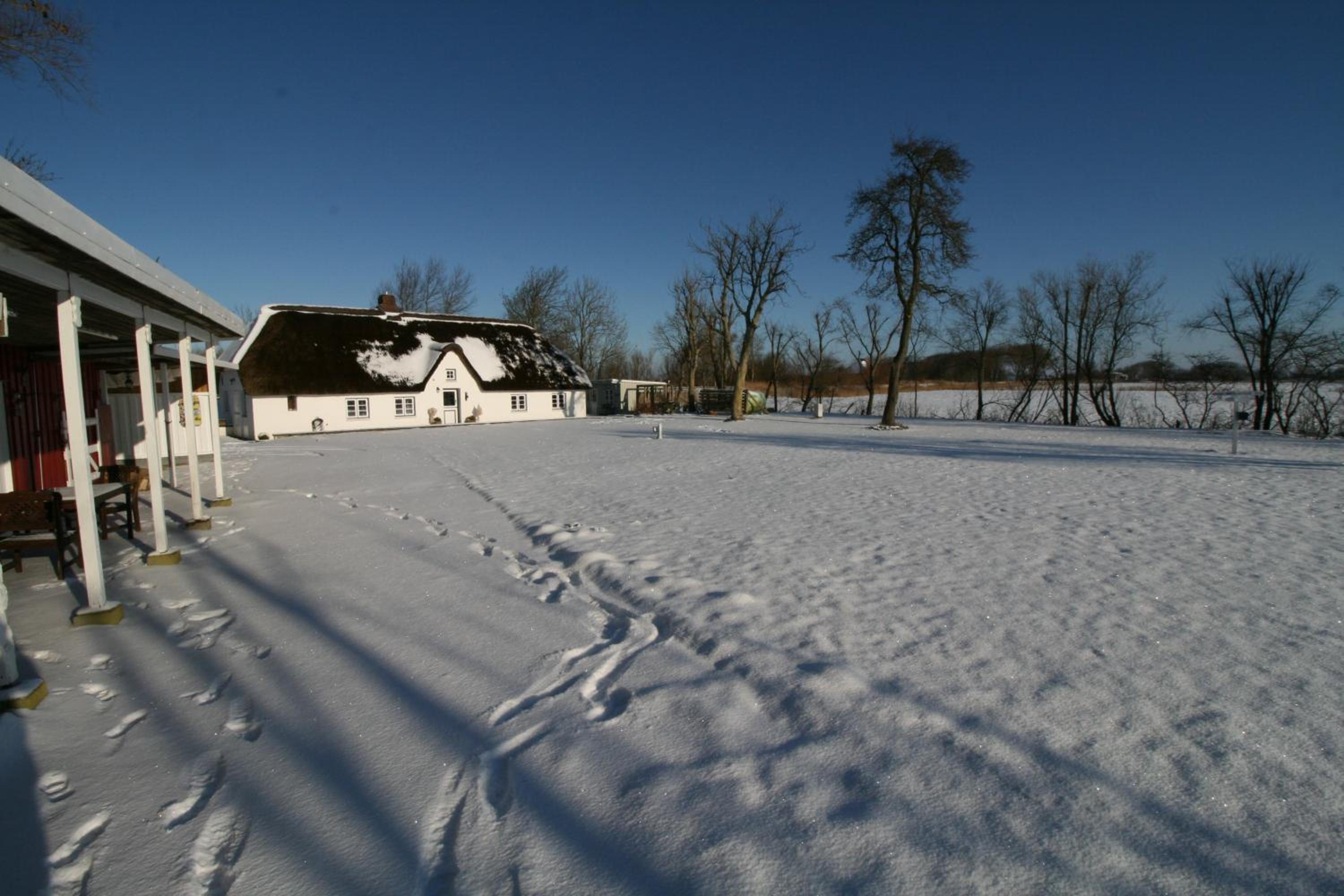 Reetdachhaus, Sauna, E-Bikes, 6 Personen