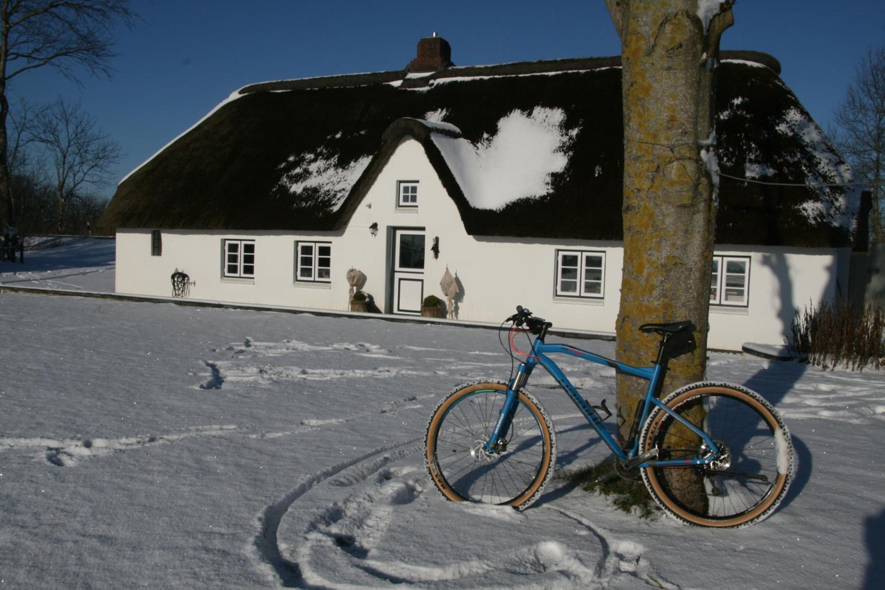 Reetdachhaus, Sauna, E-Bikes, 6 Personen