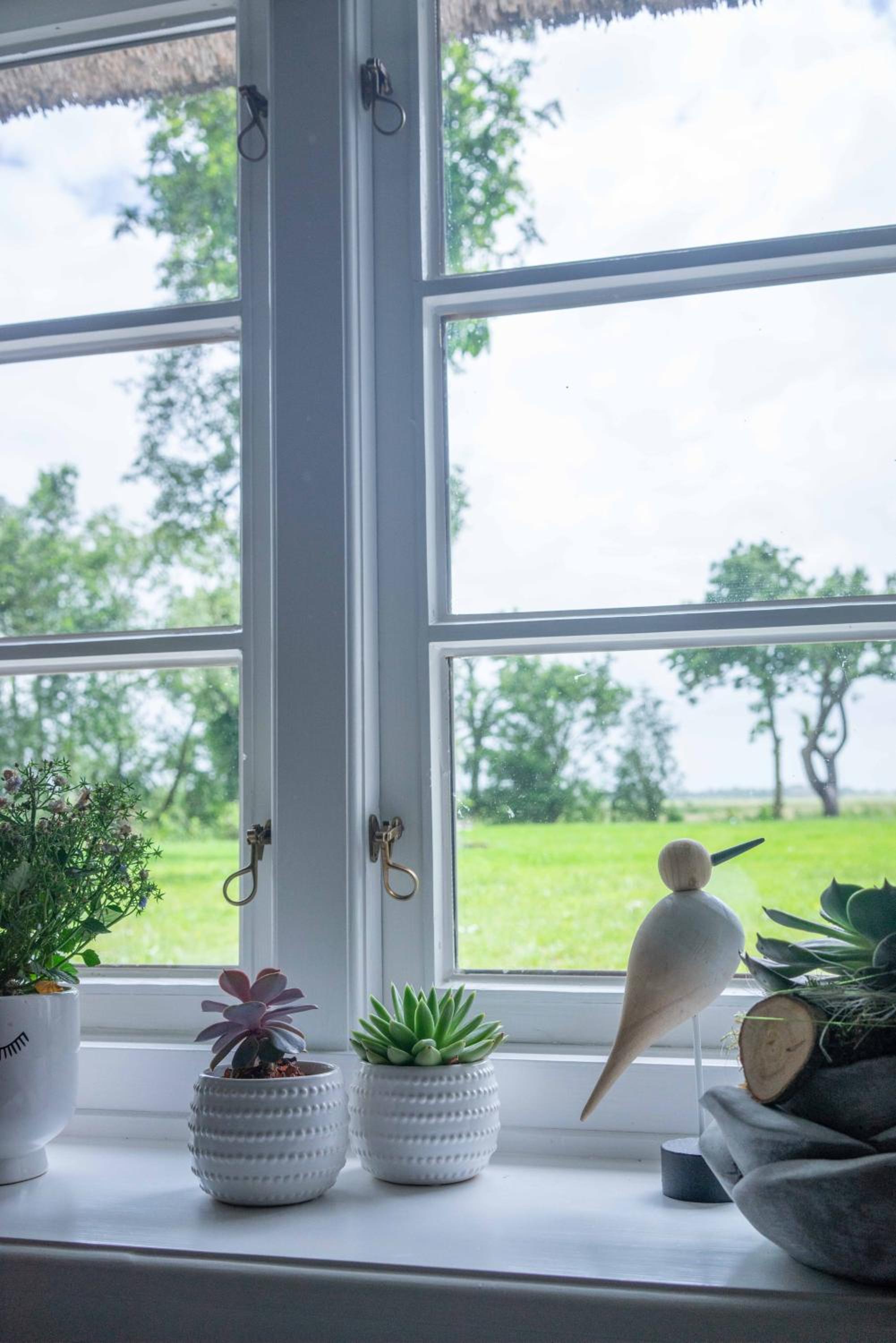 Reetdachhaus, Sauna, E-Bikes, 6 Personen
