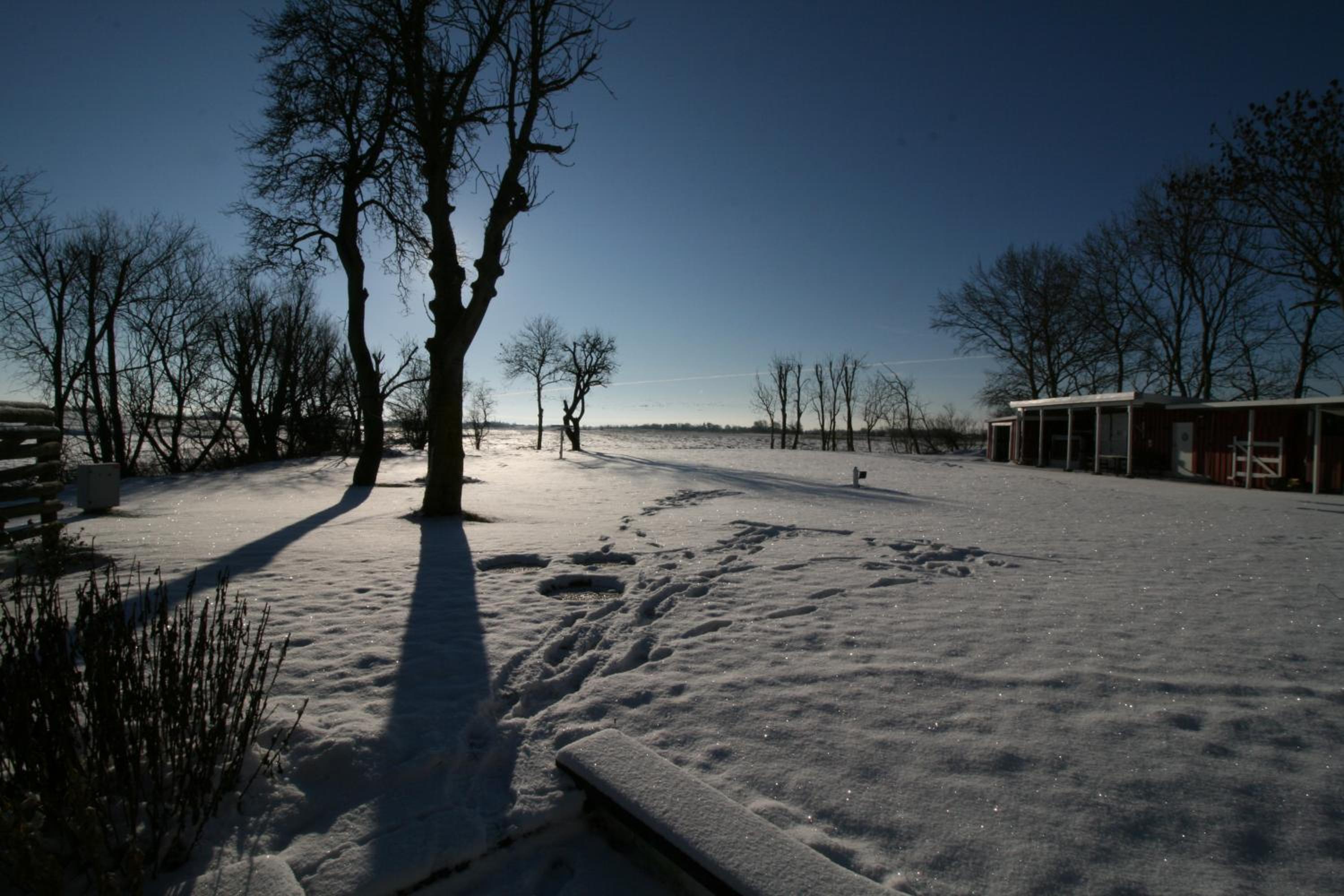 Reetdachhaus, Sauna, E-Bikes, 6 Personen