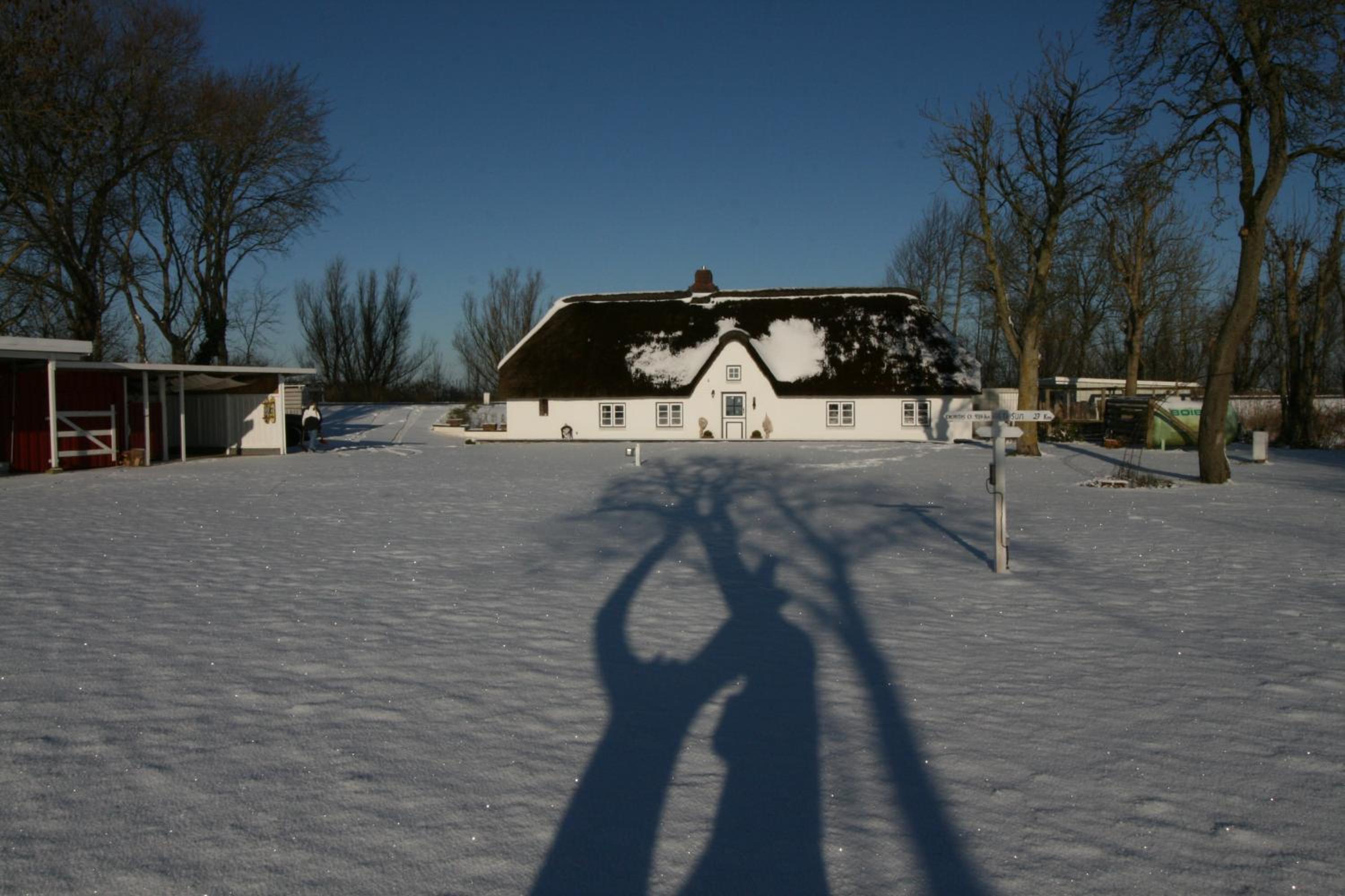 Reetdachhaus, Sauna, E-Bikes, 6 Personen