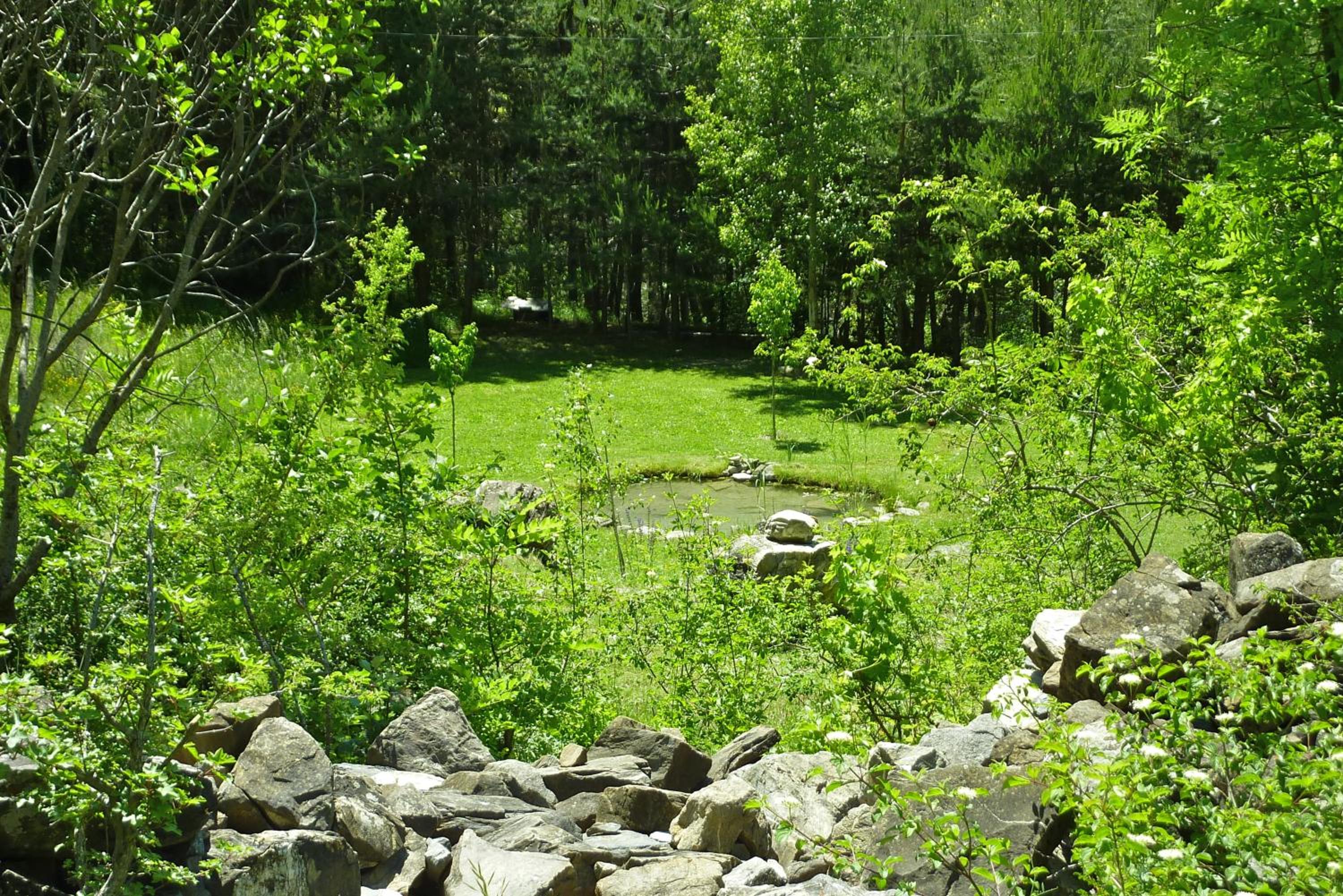 Le Moulin Ollivier