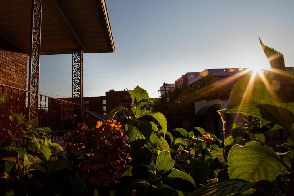 London Vacations - Hilltop Hideaway - 3BDR in Downtown London, KY - Property Image 5