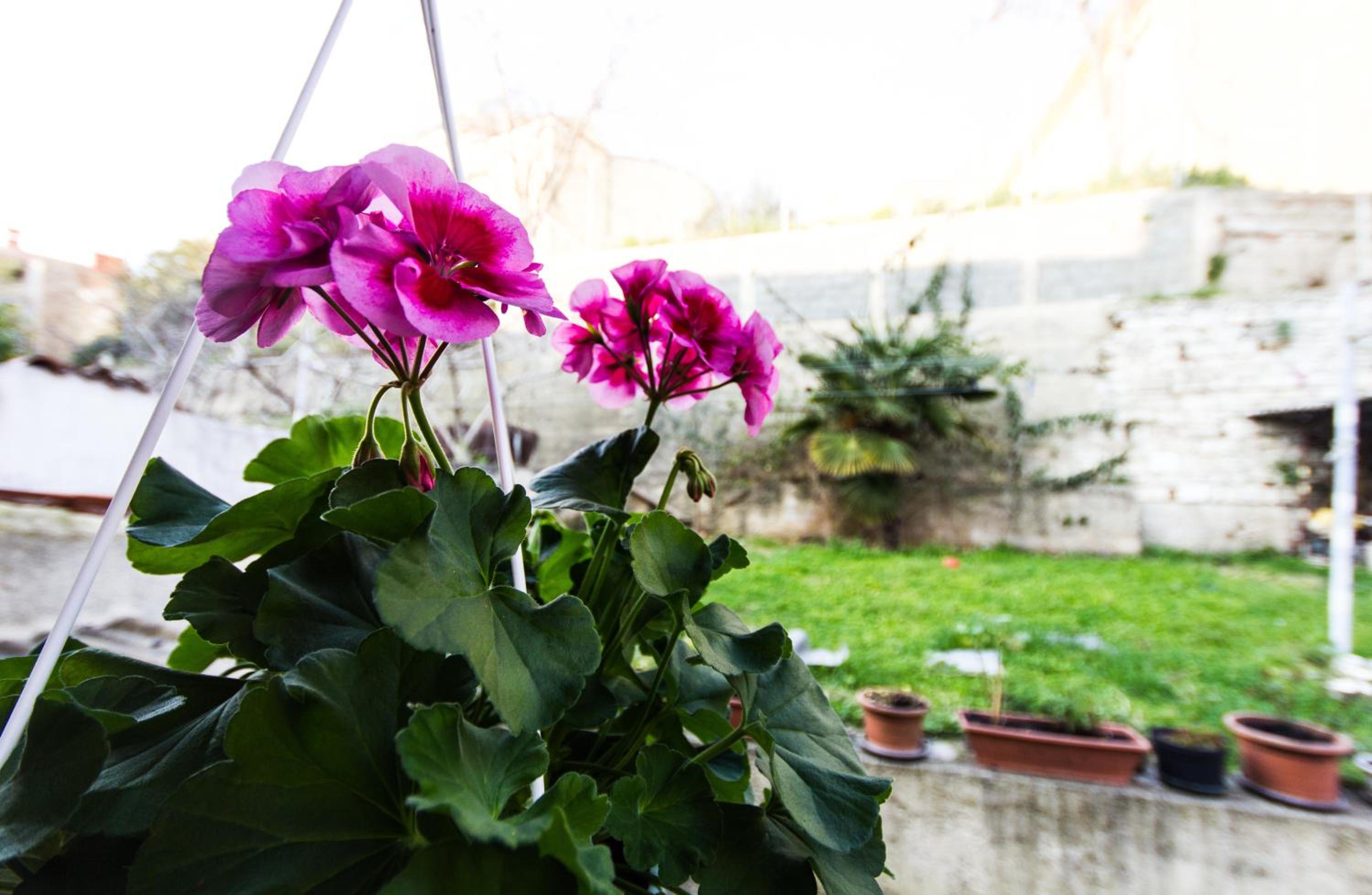 Guesthouse Natalija