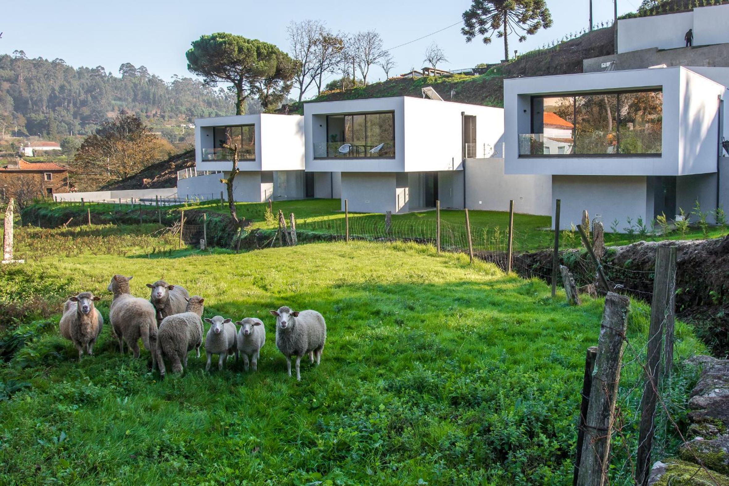 Viana do Castelo - Amonde Village - Casa L - Disfrute da Natureza view 3