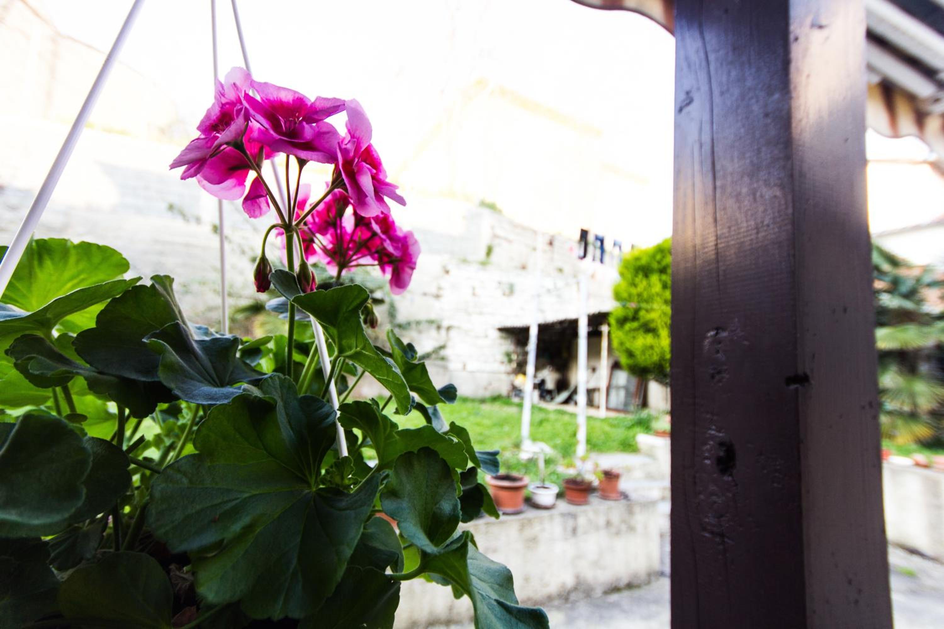 Guesthouse Natalija