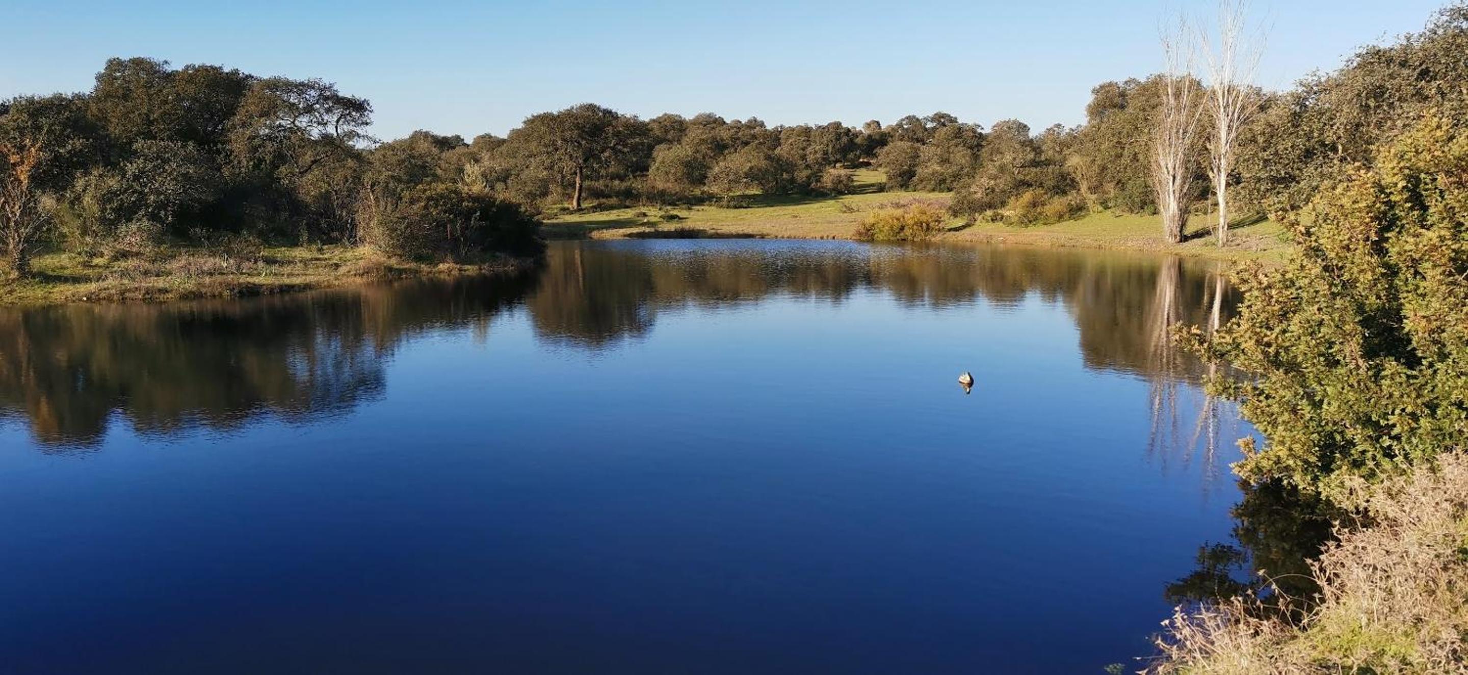 Casa Cortijo en Dehesa Sierra León