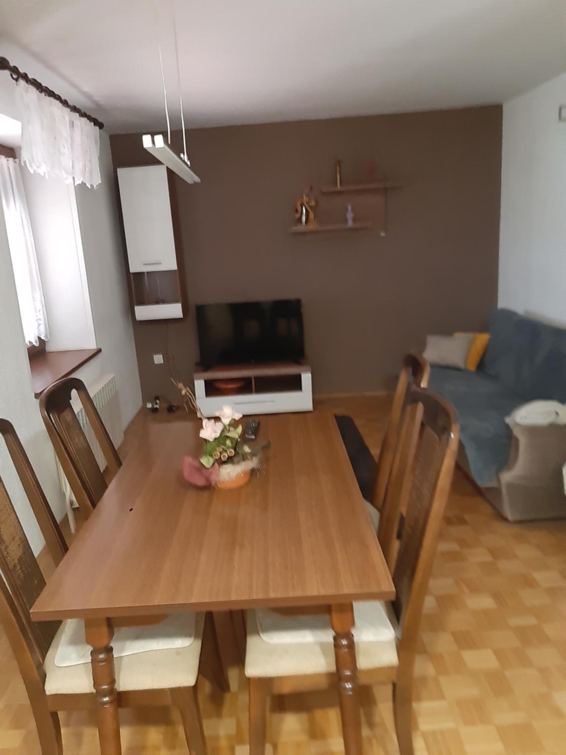Apartma Zdar view 3