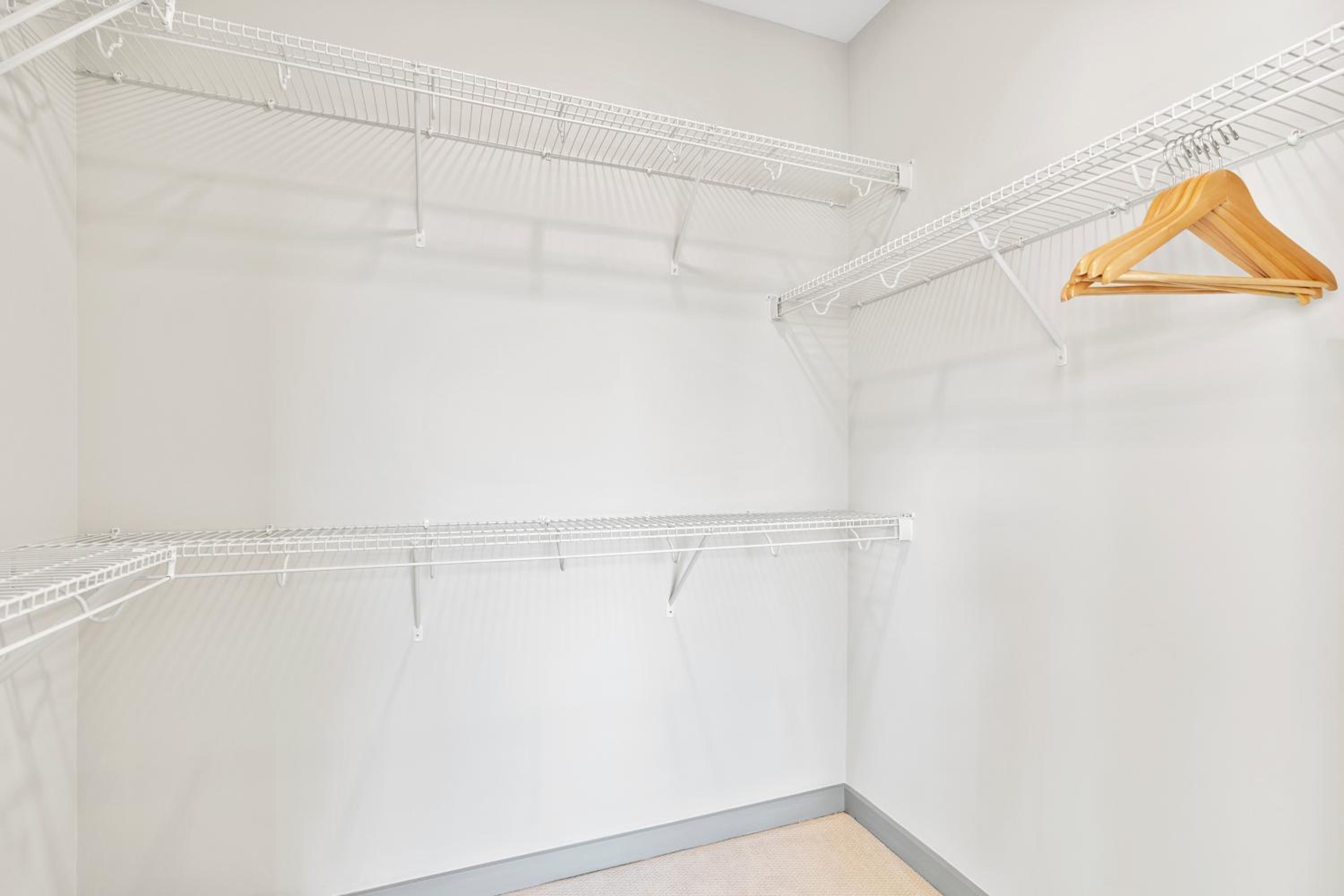 Columbia Vacations - WhyHotel by Placemakr, Columbia - Property Image 14