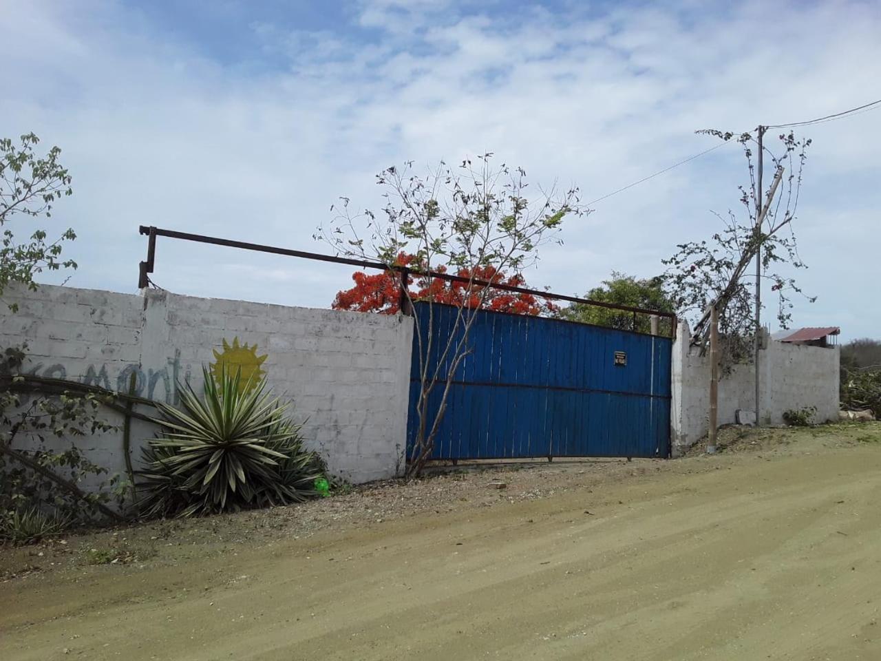 Photo 41