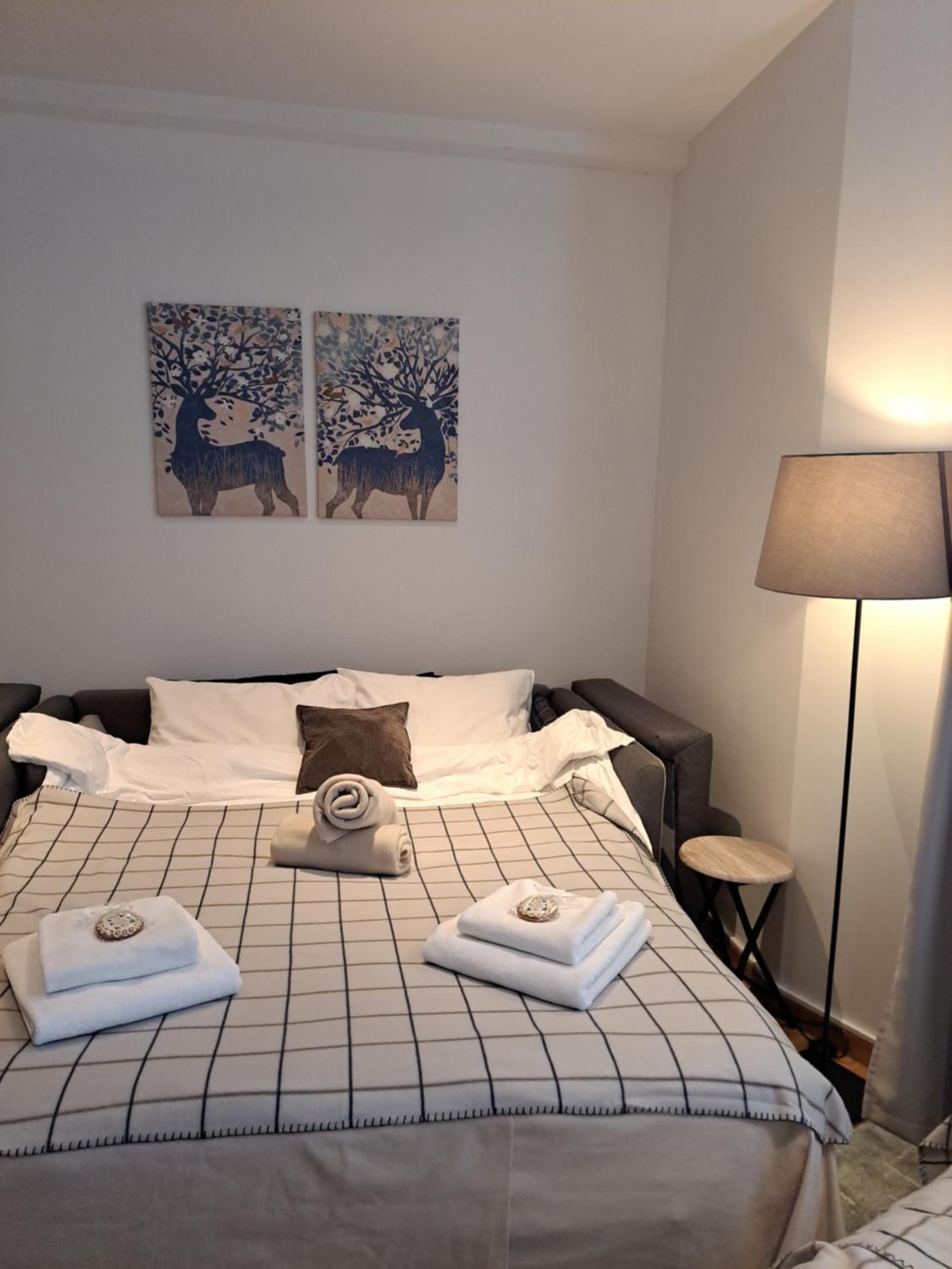 Falling Star Apartman Brzece view 4