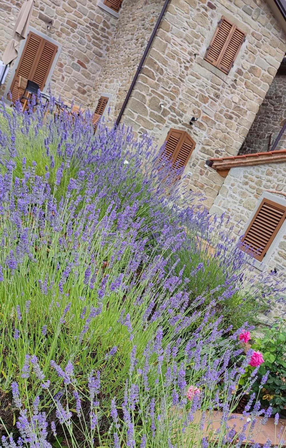 Podere Verdi Colline