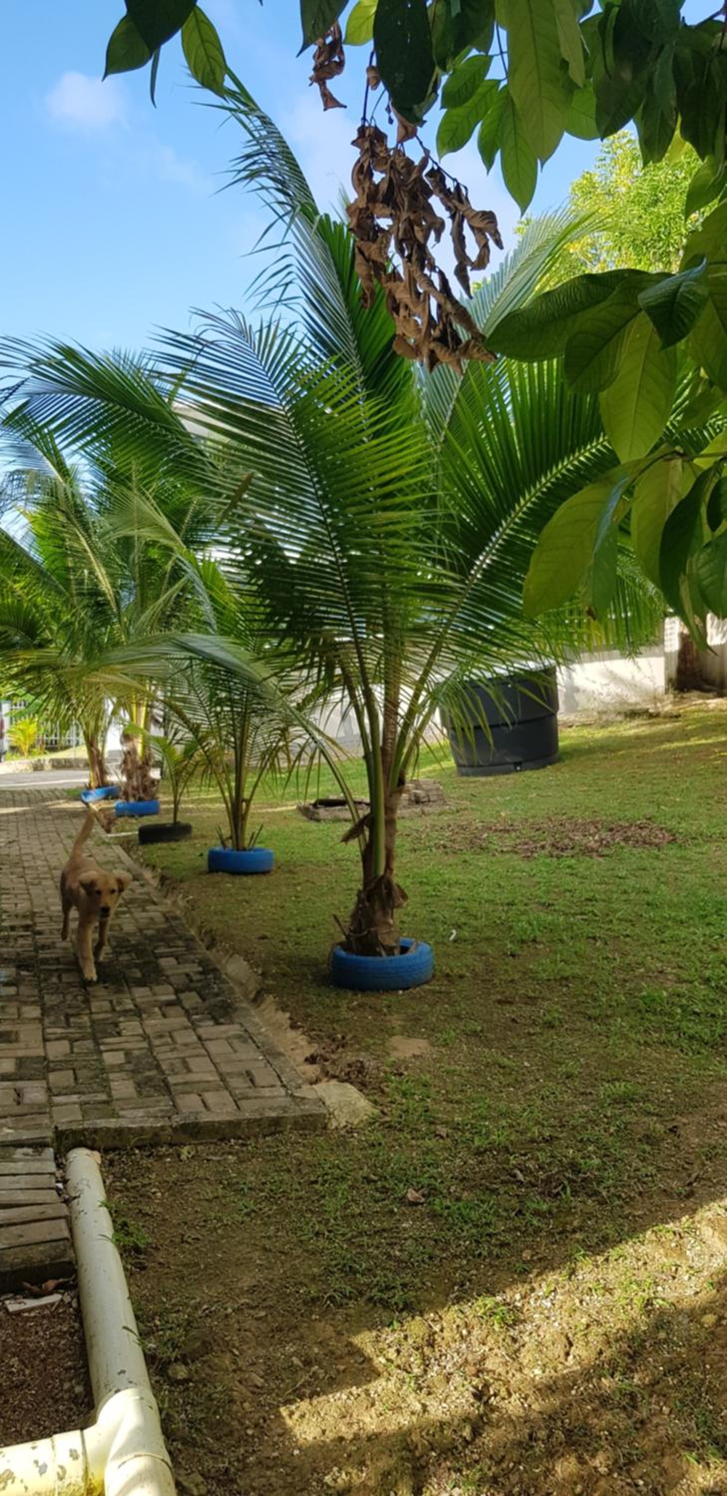 LodgeFabi'sPlace