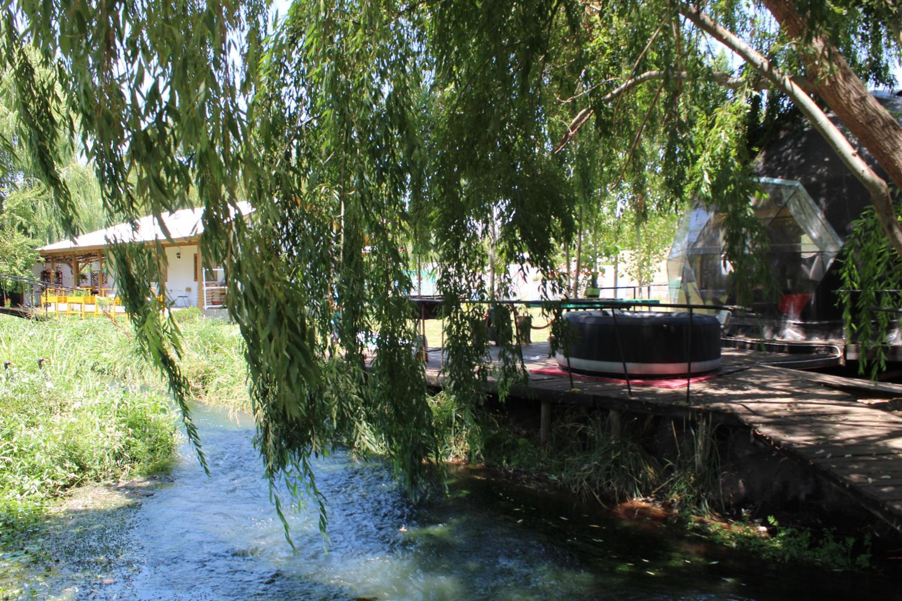 Photo 33