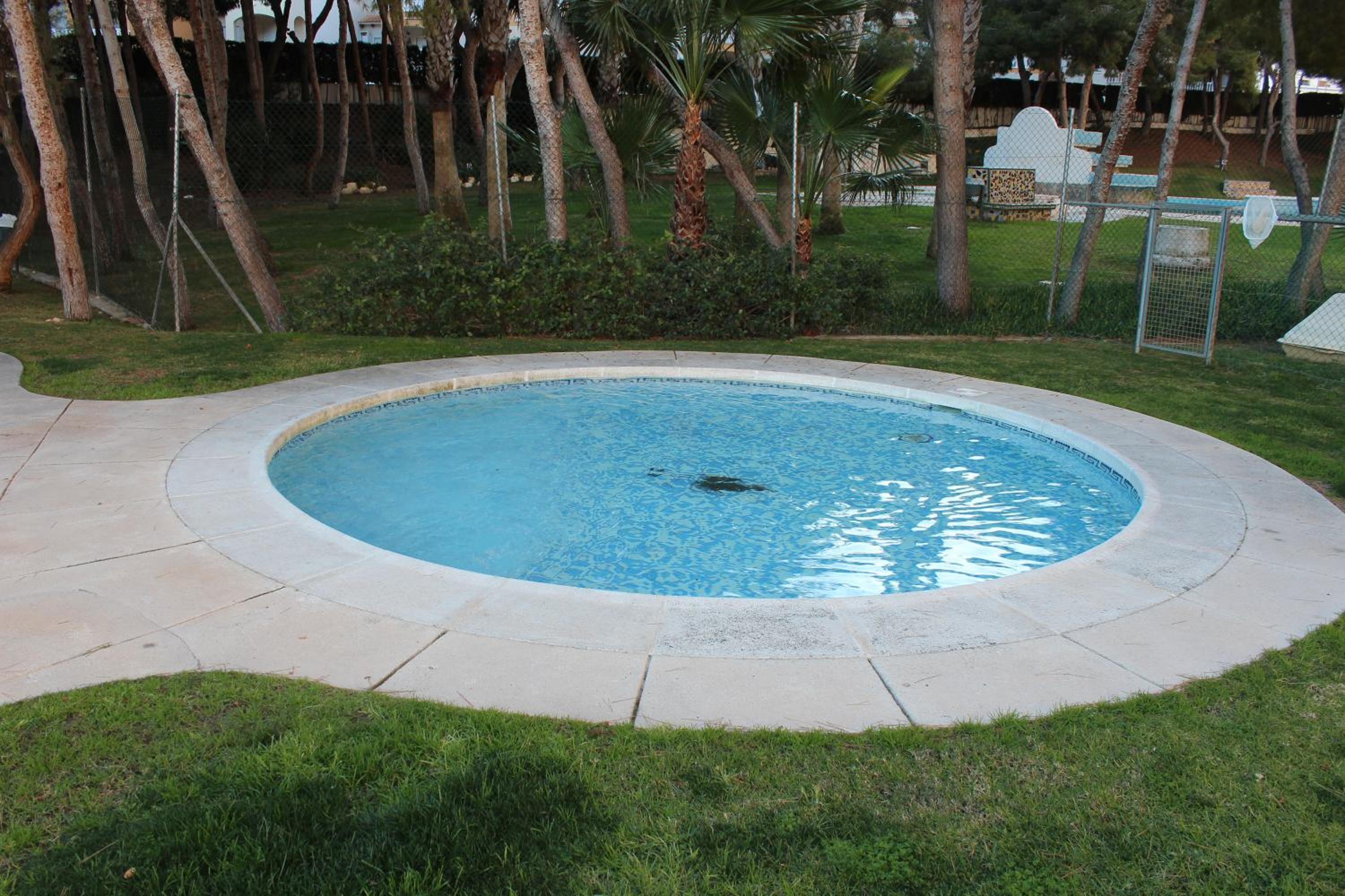 Photo 15