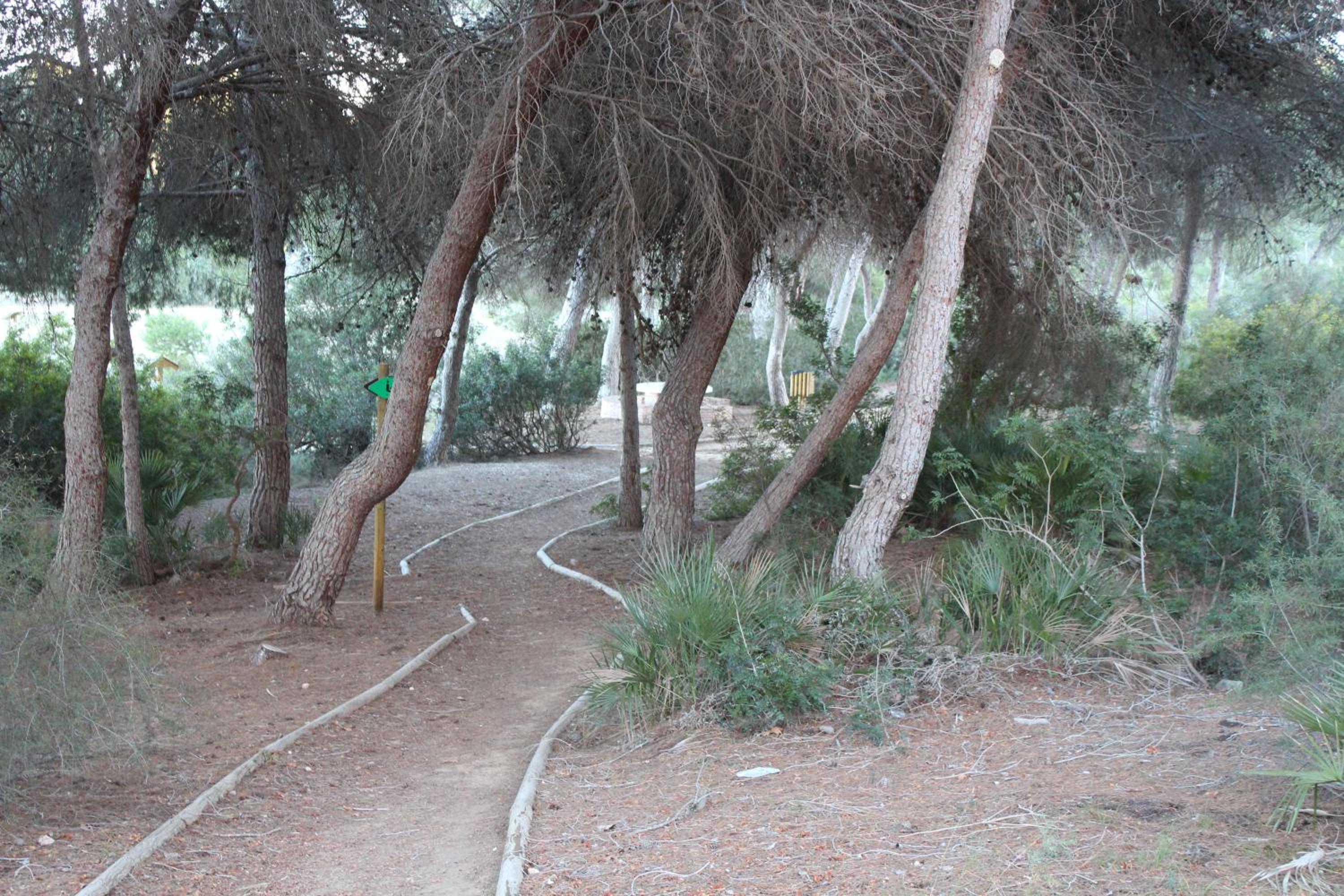 Photo 20
