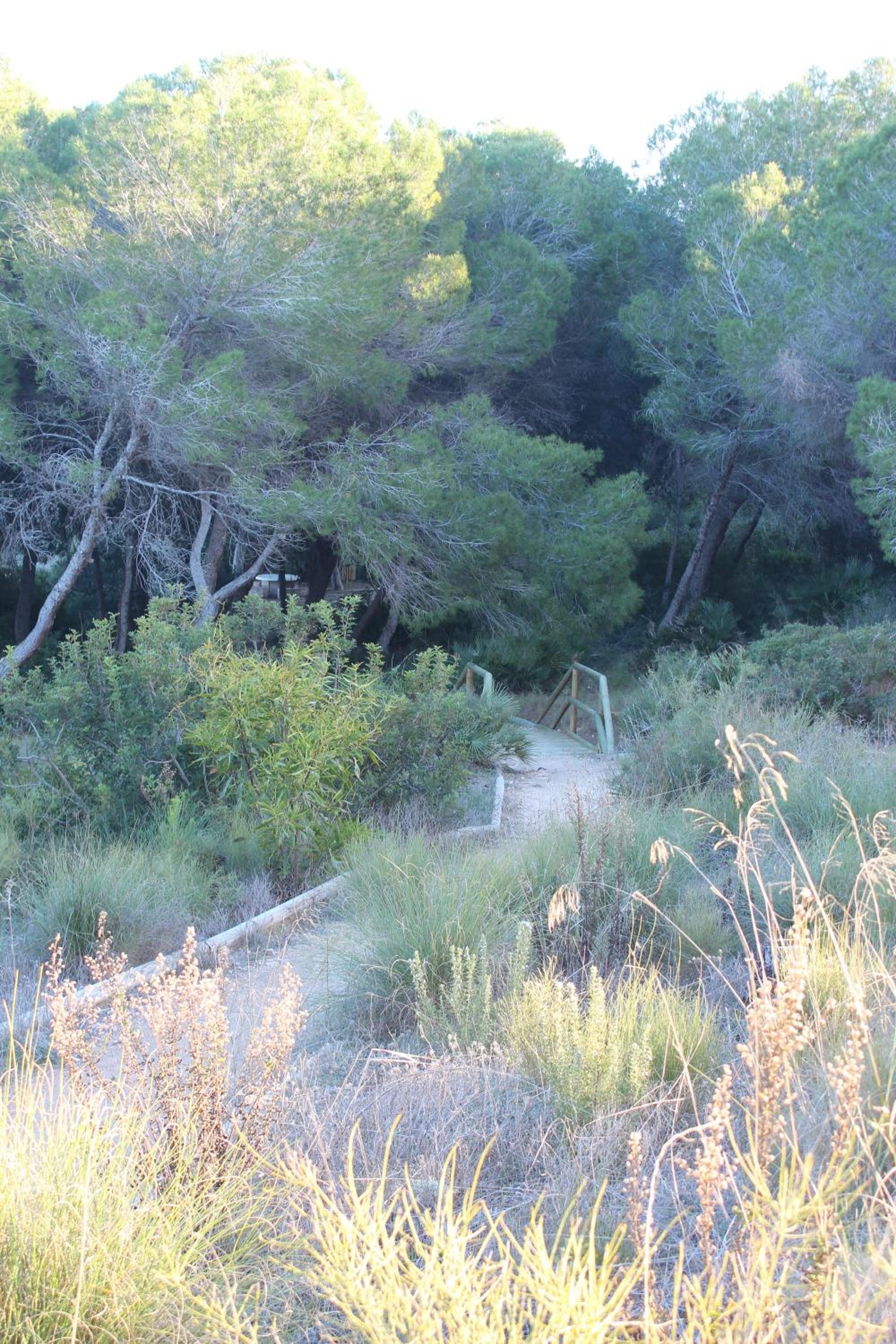 Photo 19