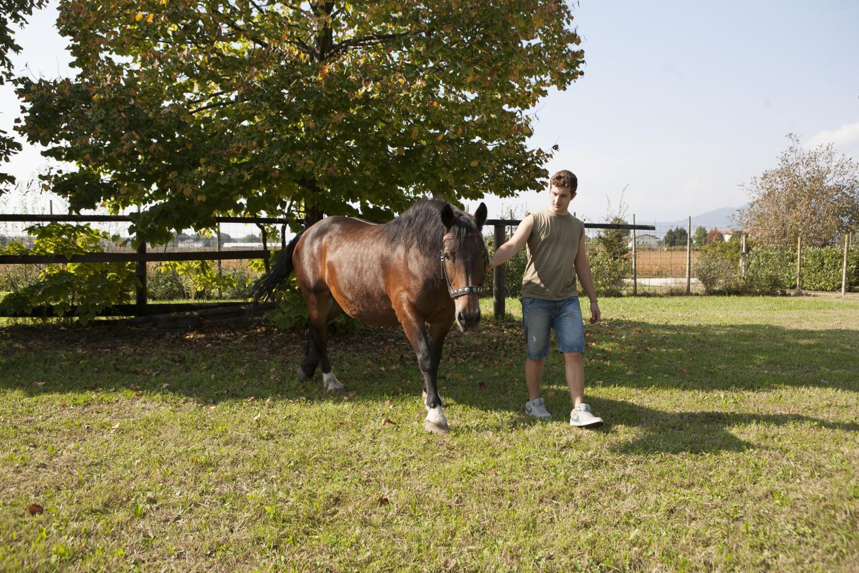 La Pioppa Agriturismo