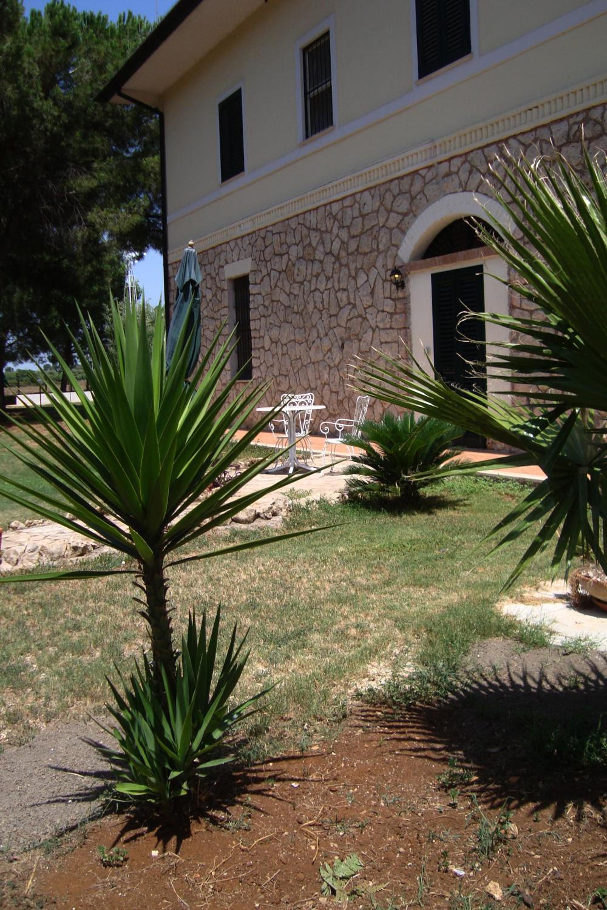Photo 8