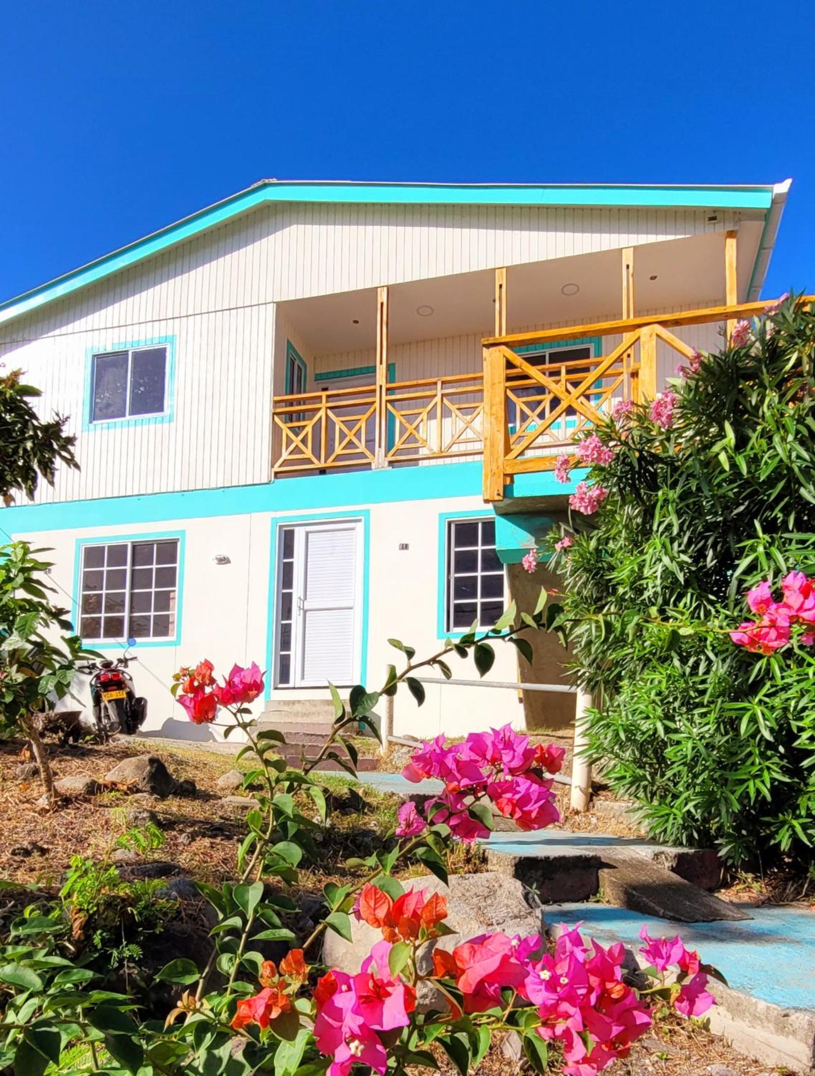 Colorful Garden House