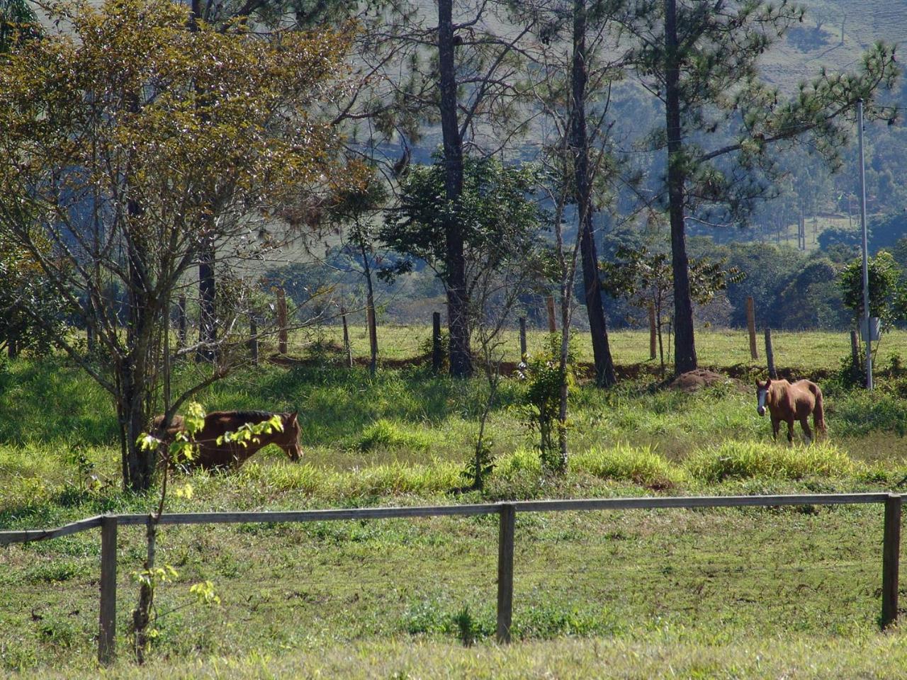 Sitio Vale do Sol -Seu Descanso recarregando energias