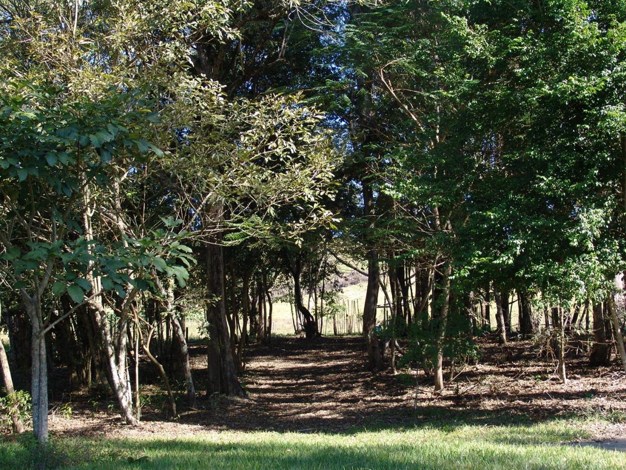 Sitio Vale do Sol -Seu Descanso recarregando energias