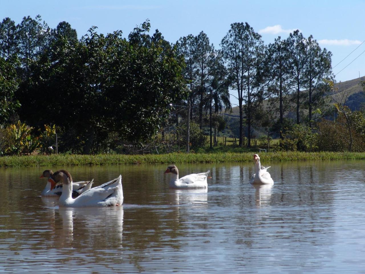 Sitio Vale do Sol -Seu Descanso recarregando energias