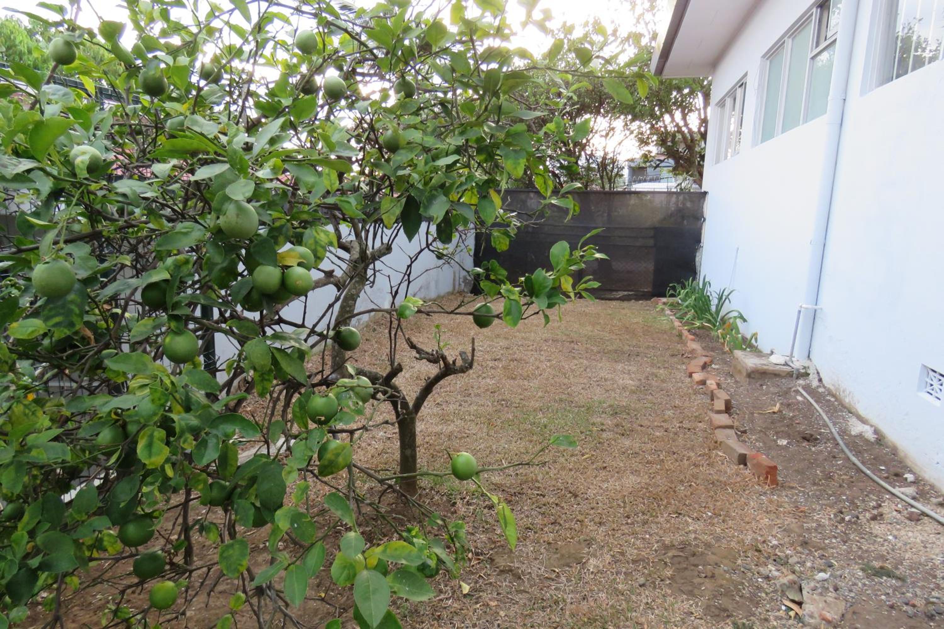 La Casa del Barrio La Granja, San Pedro