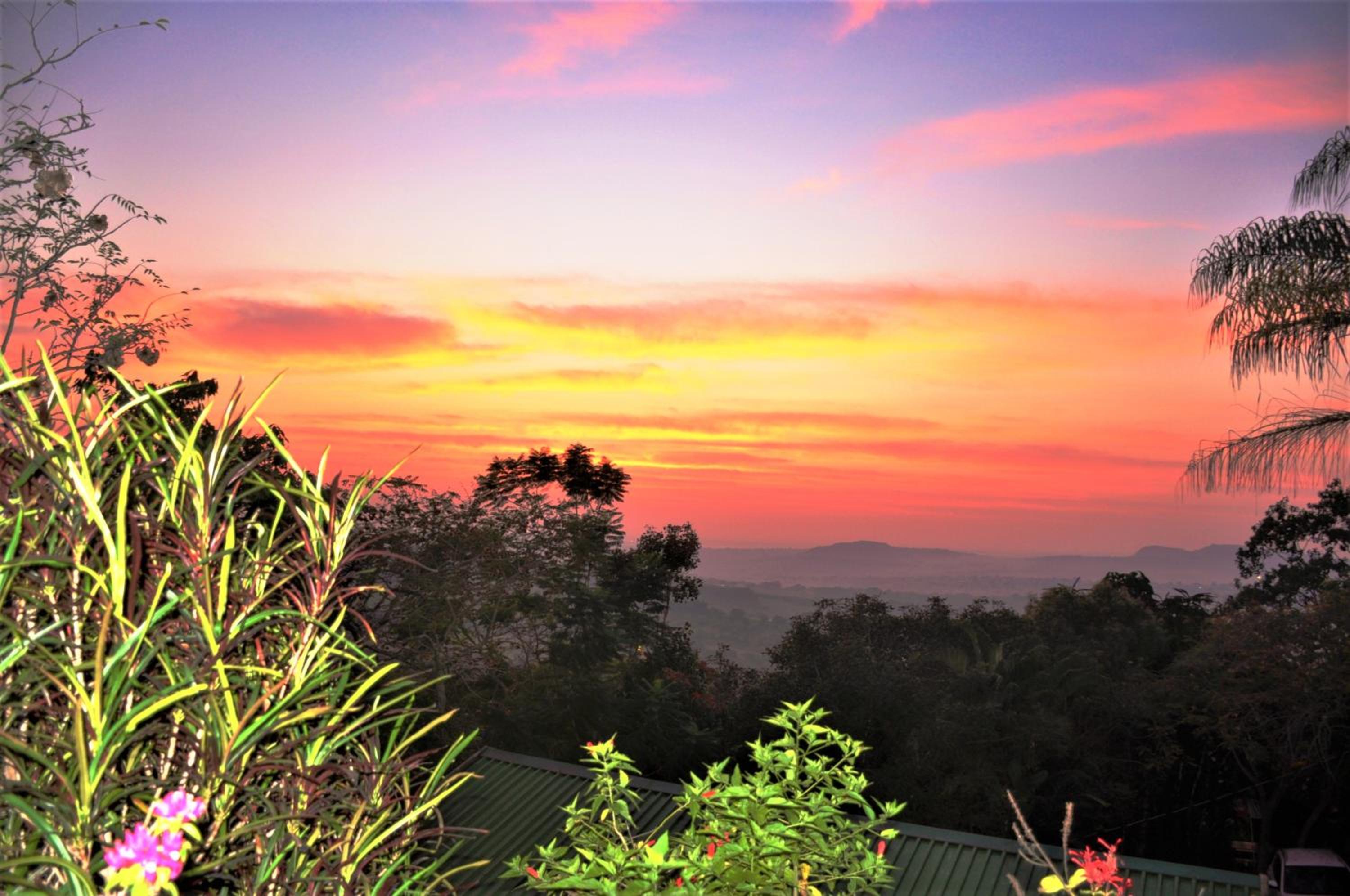 Hazyview Vacations - Impala Niezel Lodge  Guest House - Property Image 25