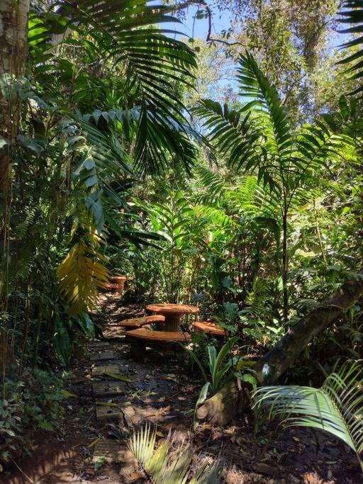 Eco Villas Tambor Tucanes