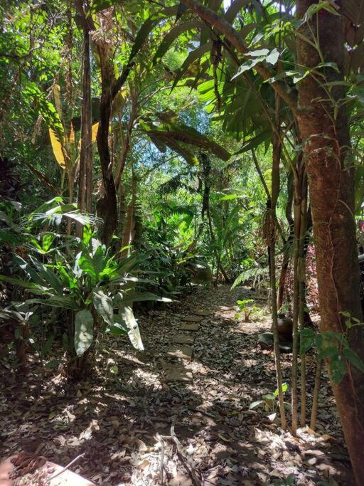 Eco Villas Tambor Tucanes