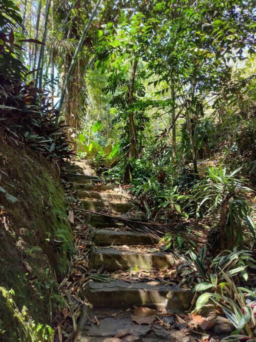 Eco Villas Tambor Tucanes