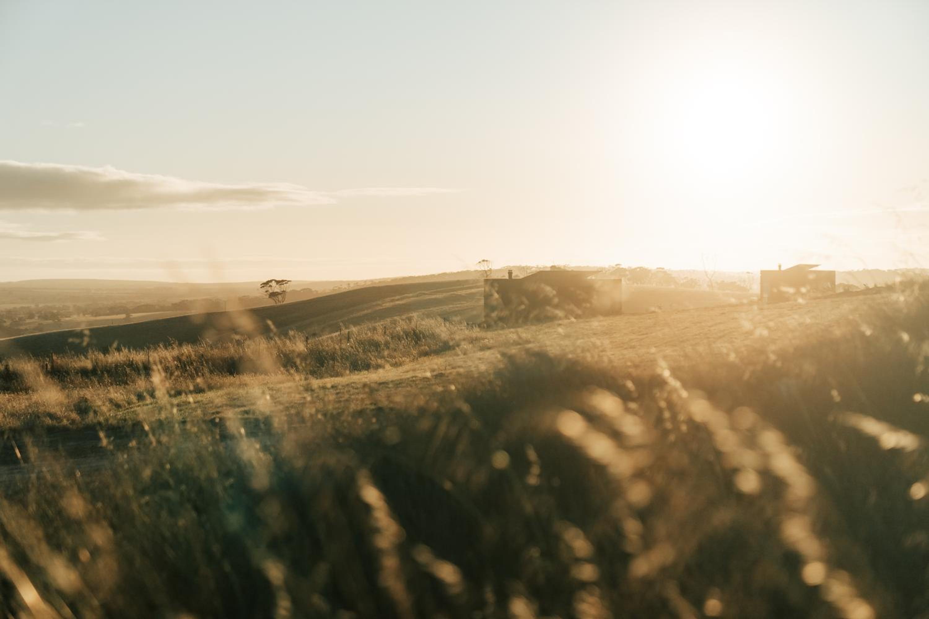 Wander on Kangaroo Island