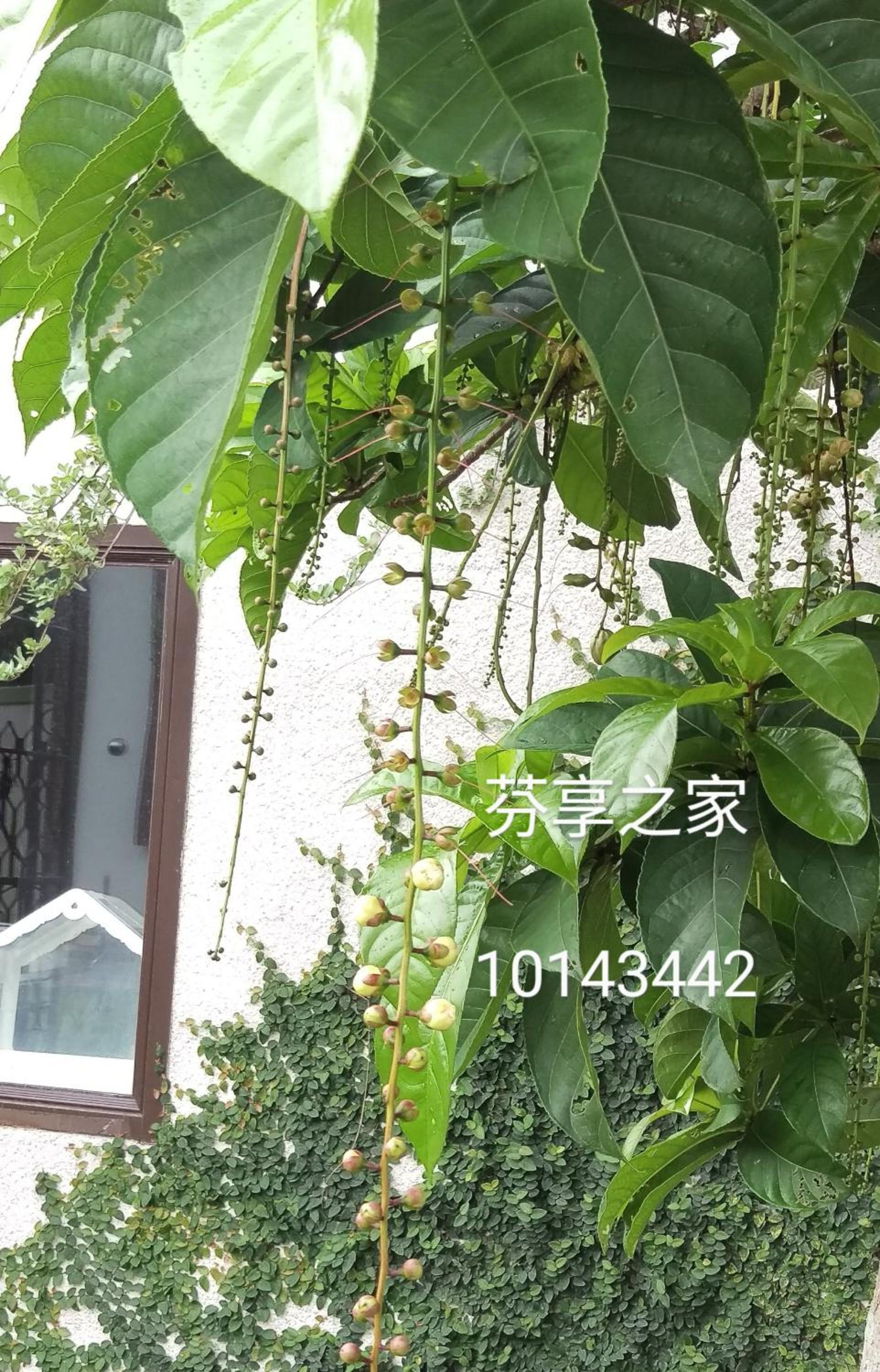 Green 58 B&B