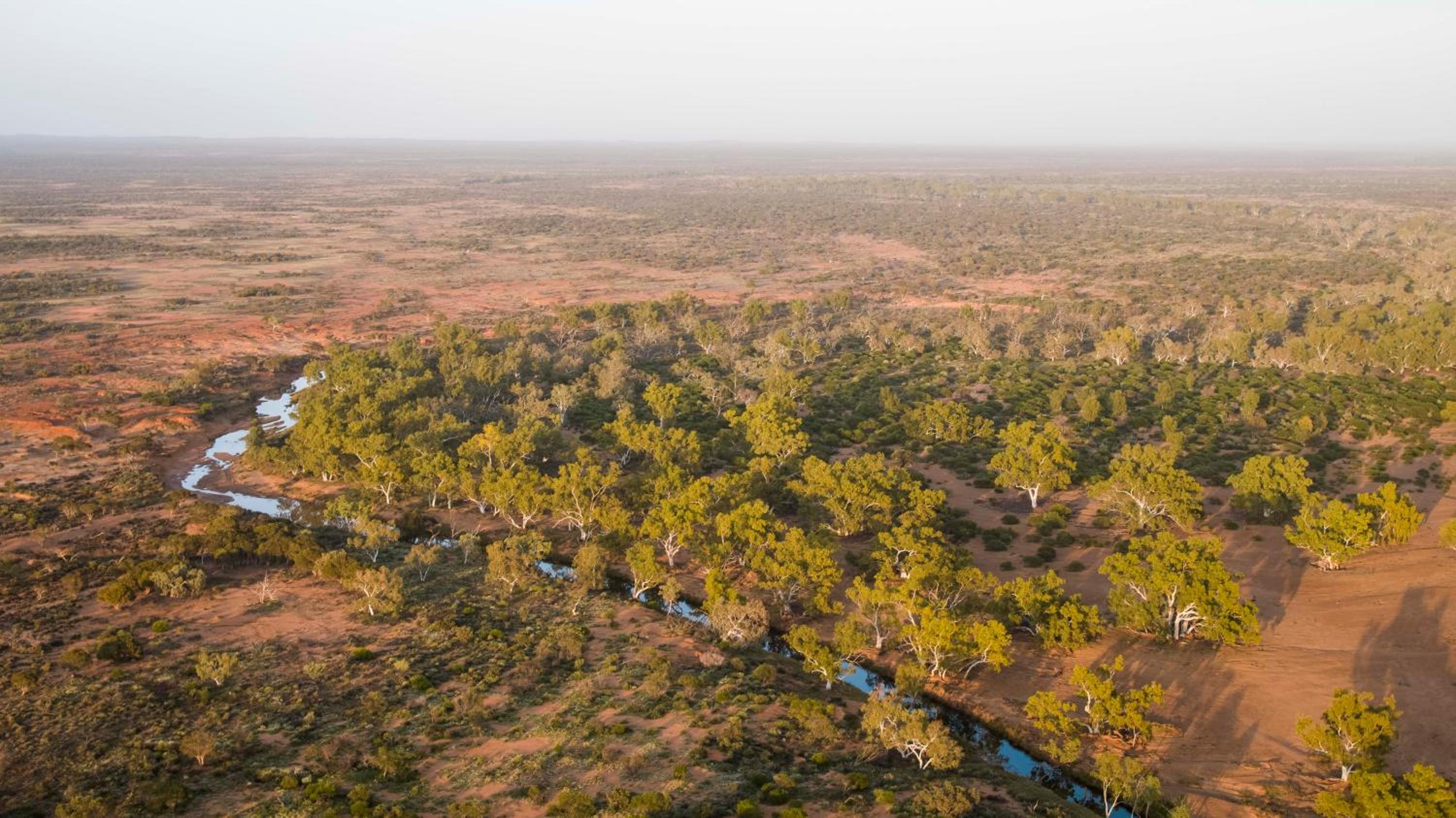 Wooleen Station