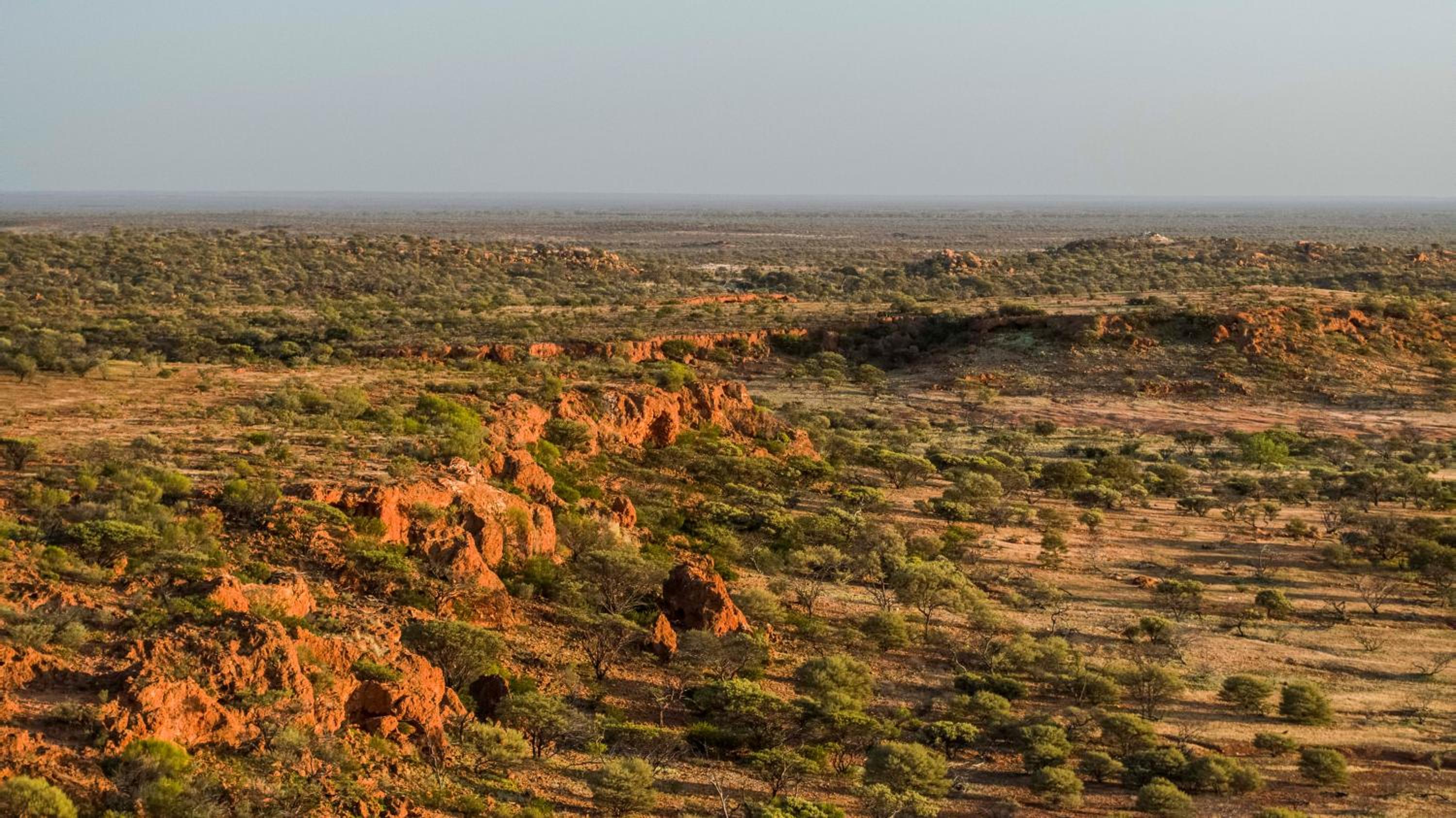 Wooleen Station
