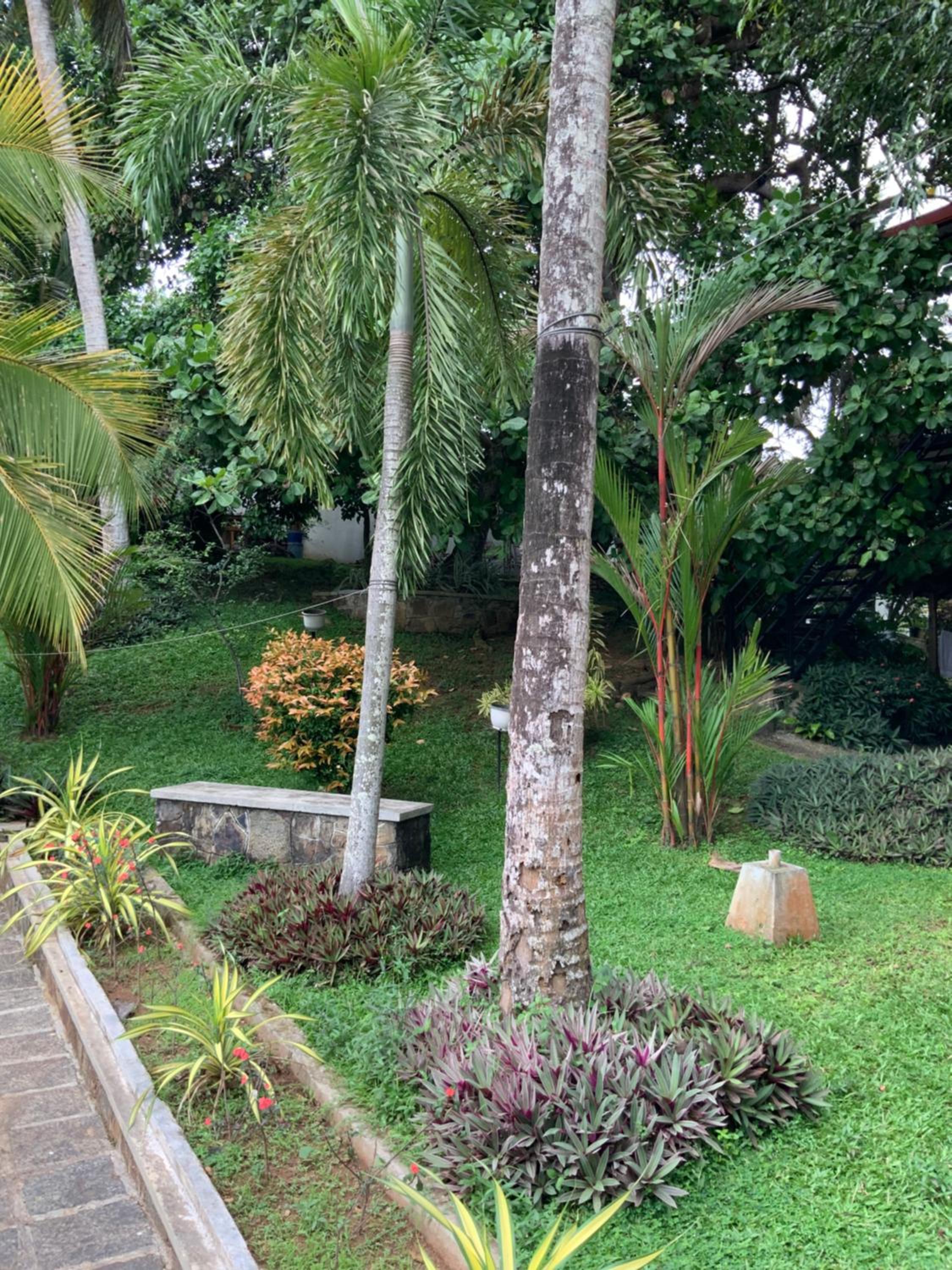 Lali Villa & Fruit Garden