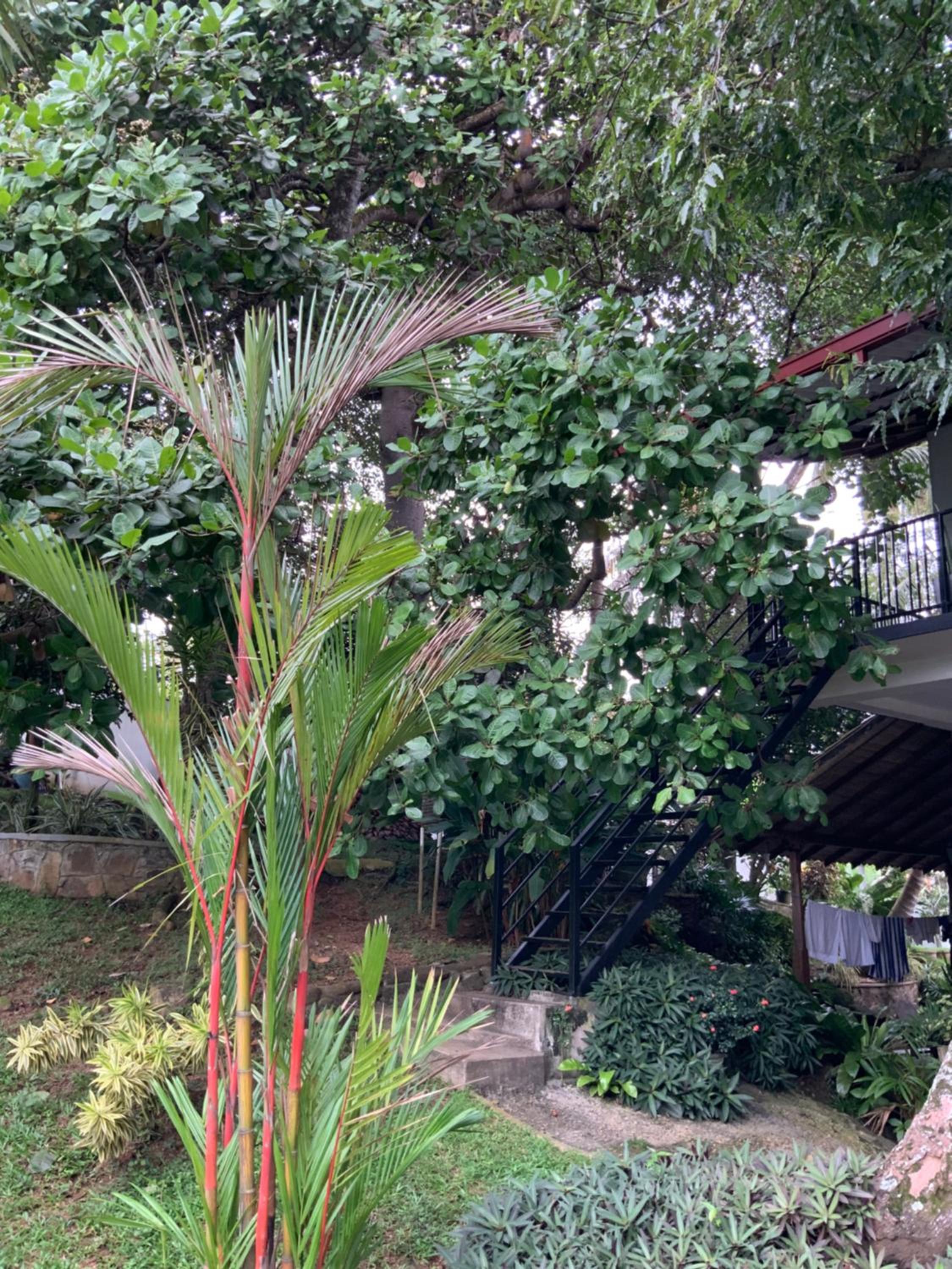 Lali Villa & Fruit Garden