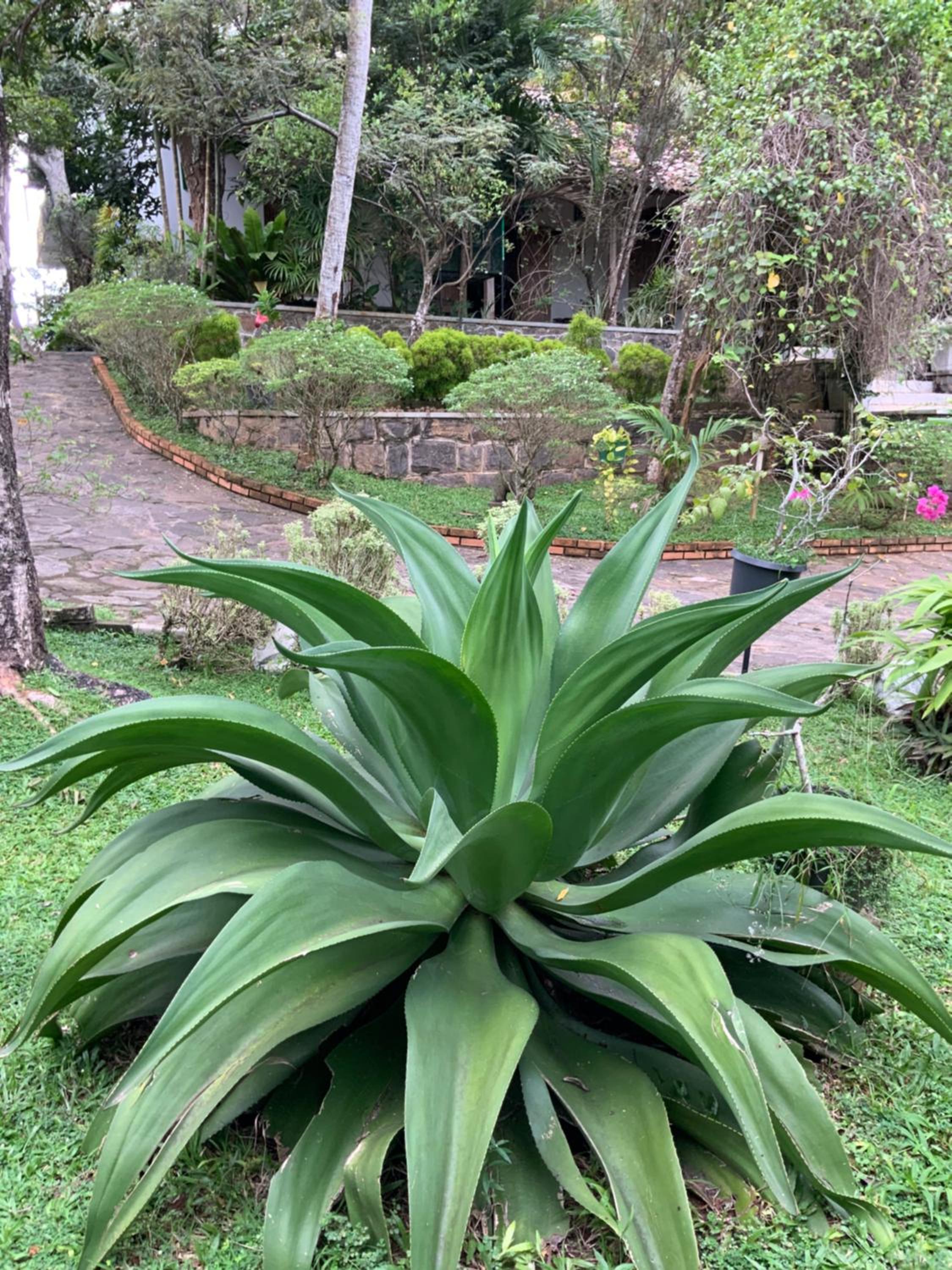 Lali Villa & Fruit Garden