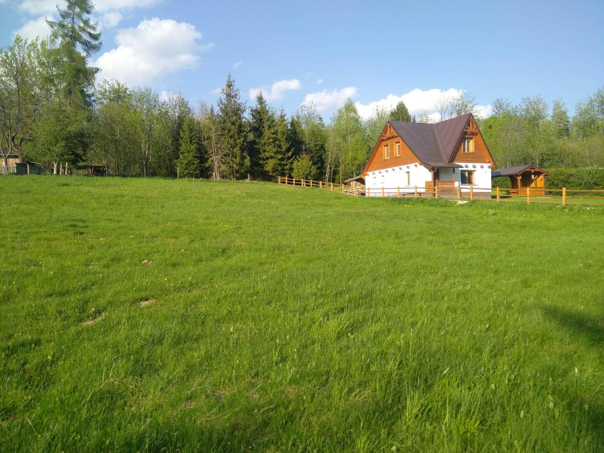 Photo 37