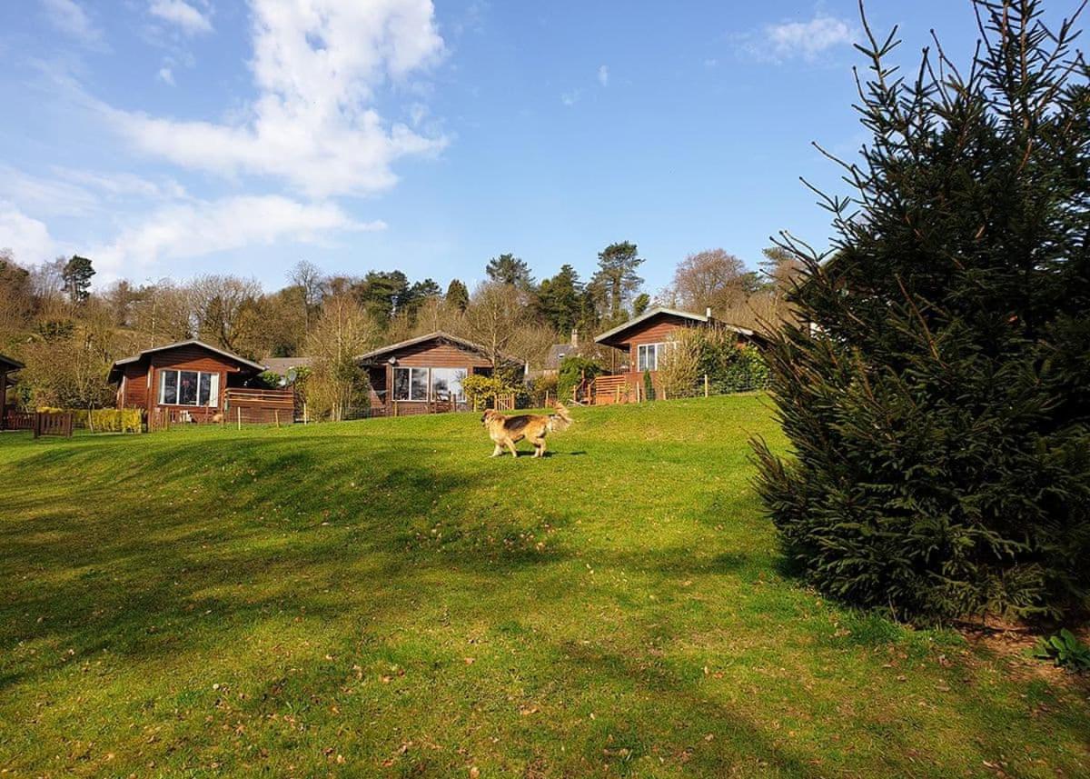 Hotel Rudyard Lake Lodges - Image 1
