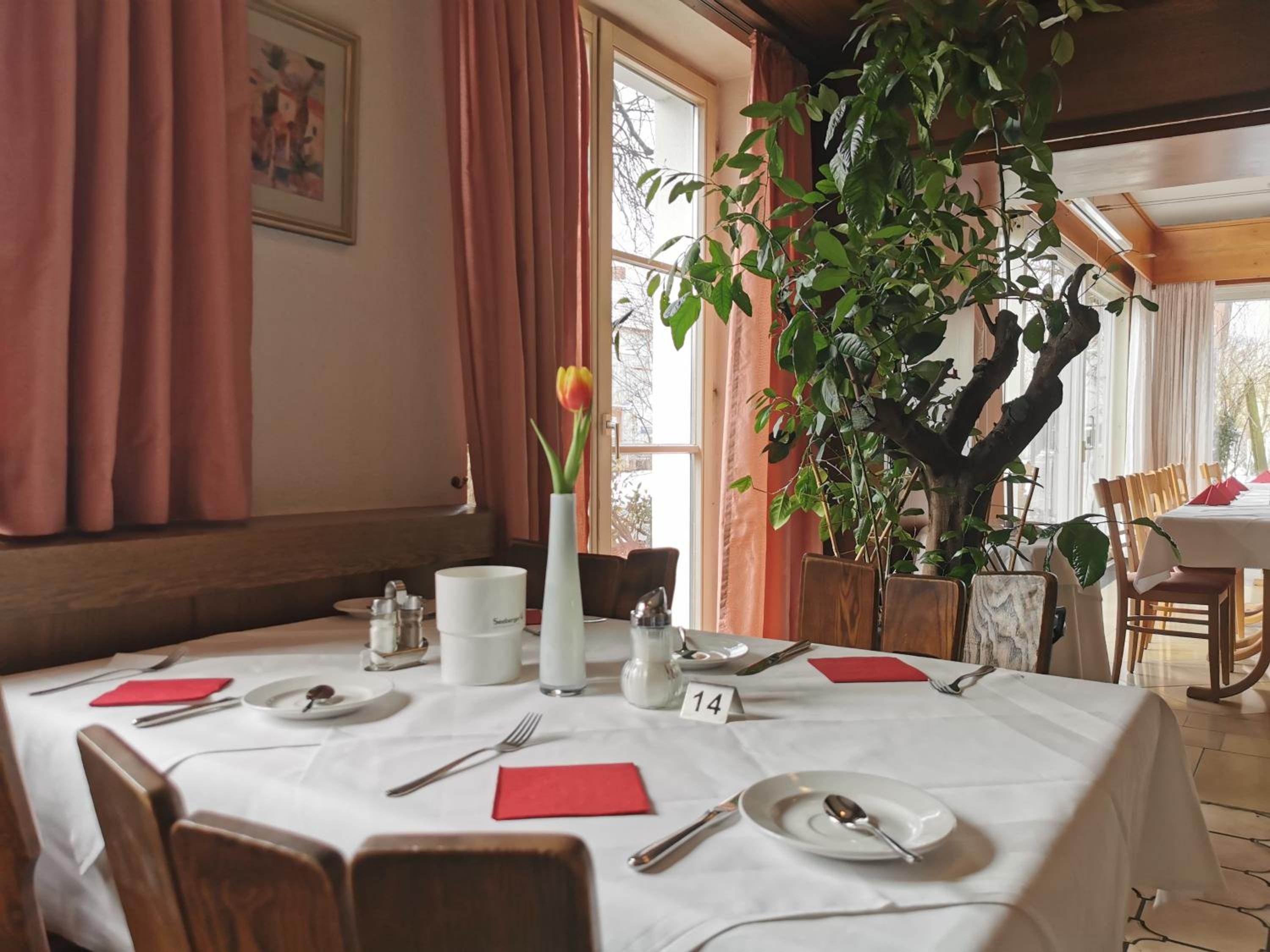 Hotel Engel - Property Image 10