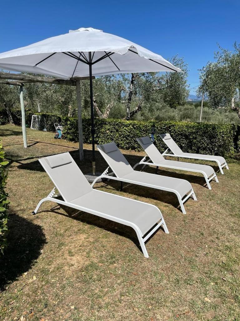 Podere Zelmira