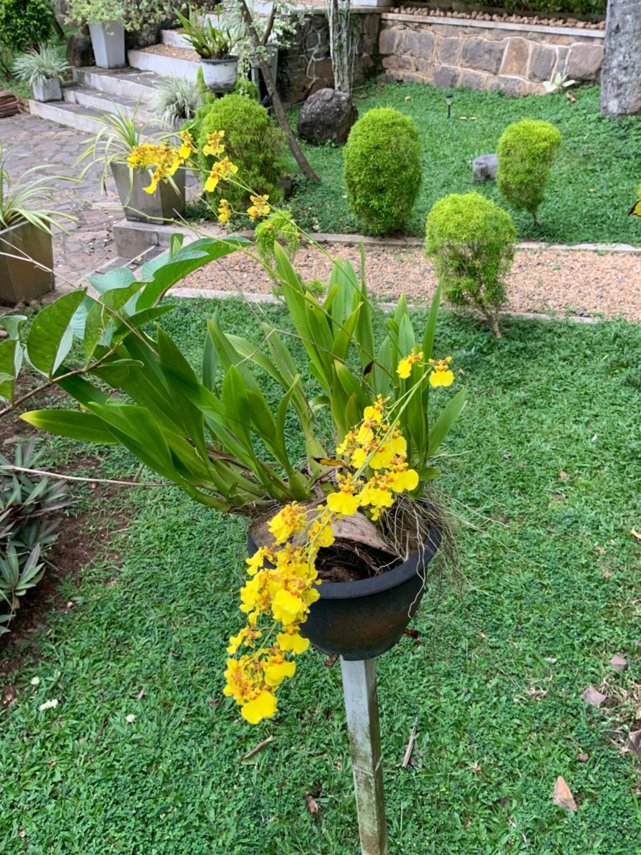 Lali Villa & Fruit Garden